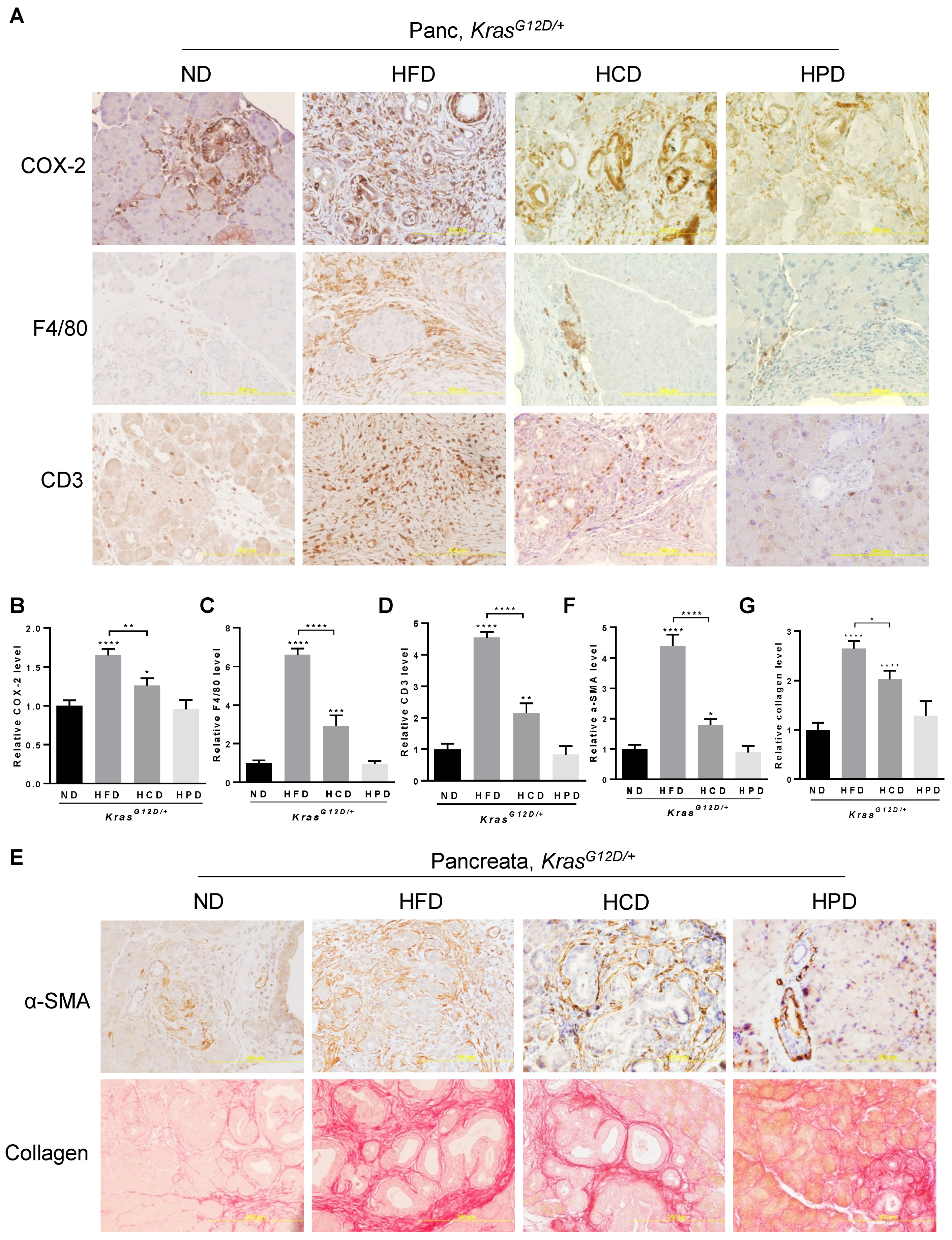 Cancers 14 02723 g002