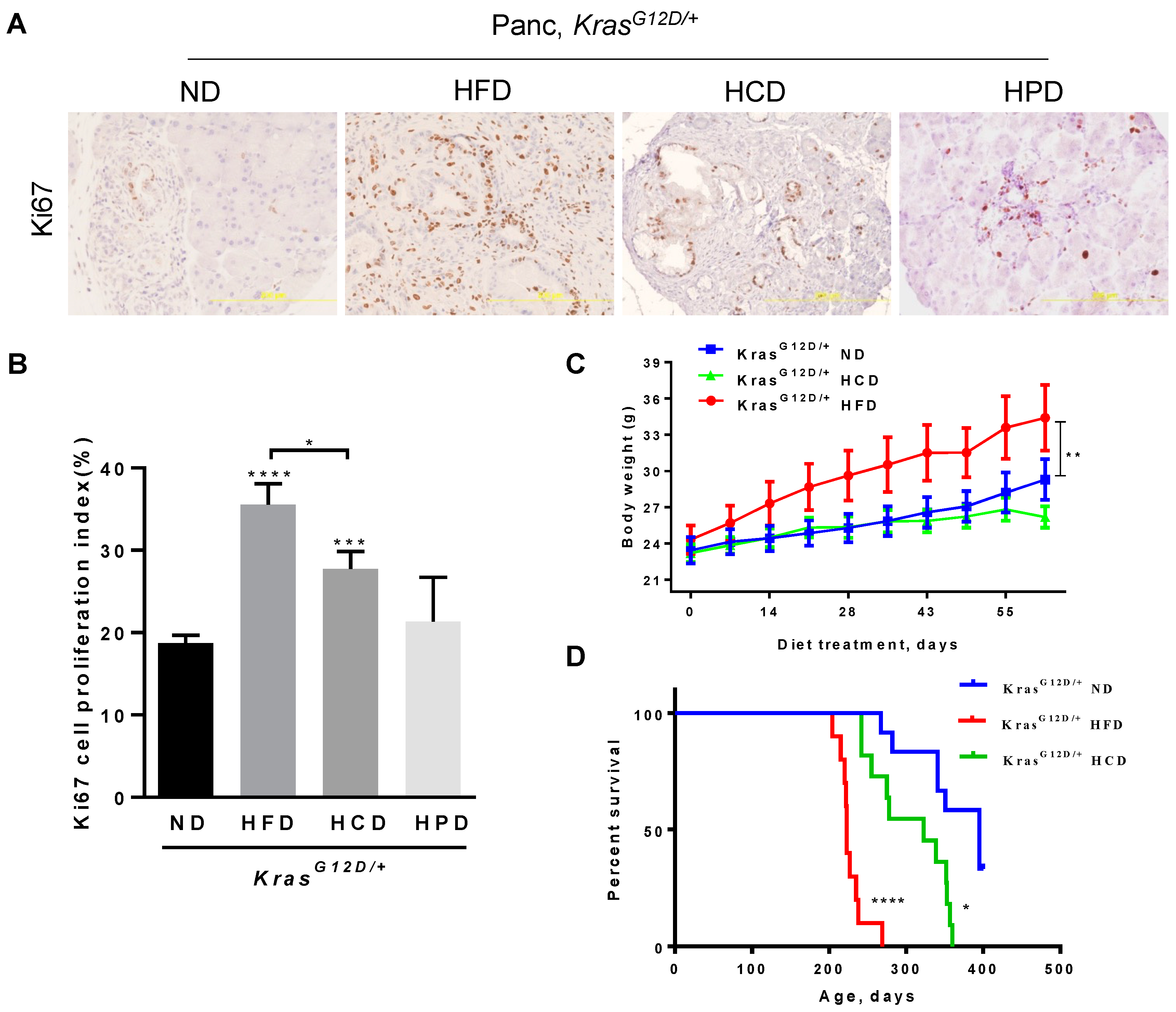 Cancers 14 02723 g003