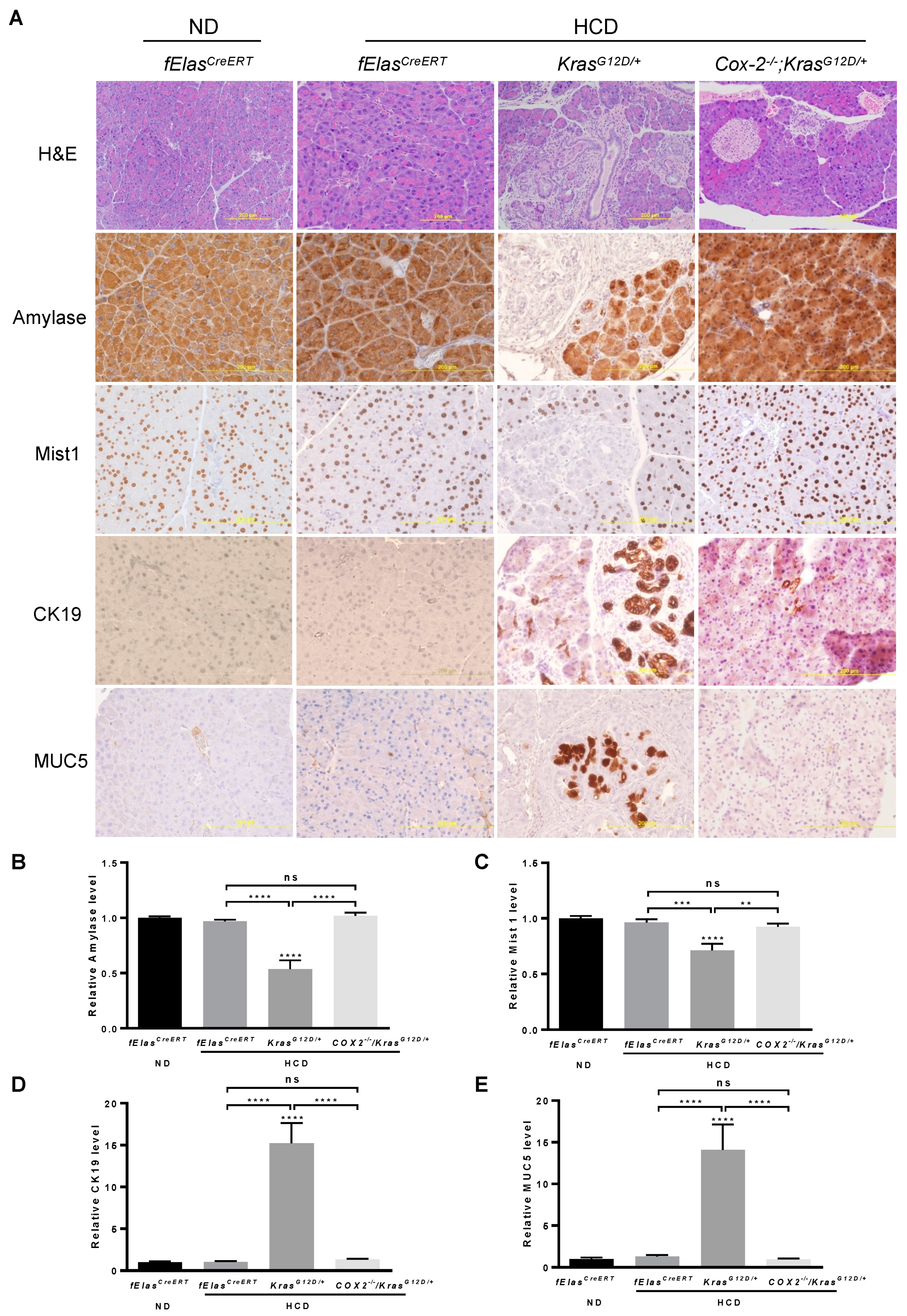 Cancers 14 02723 g004