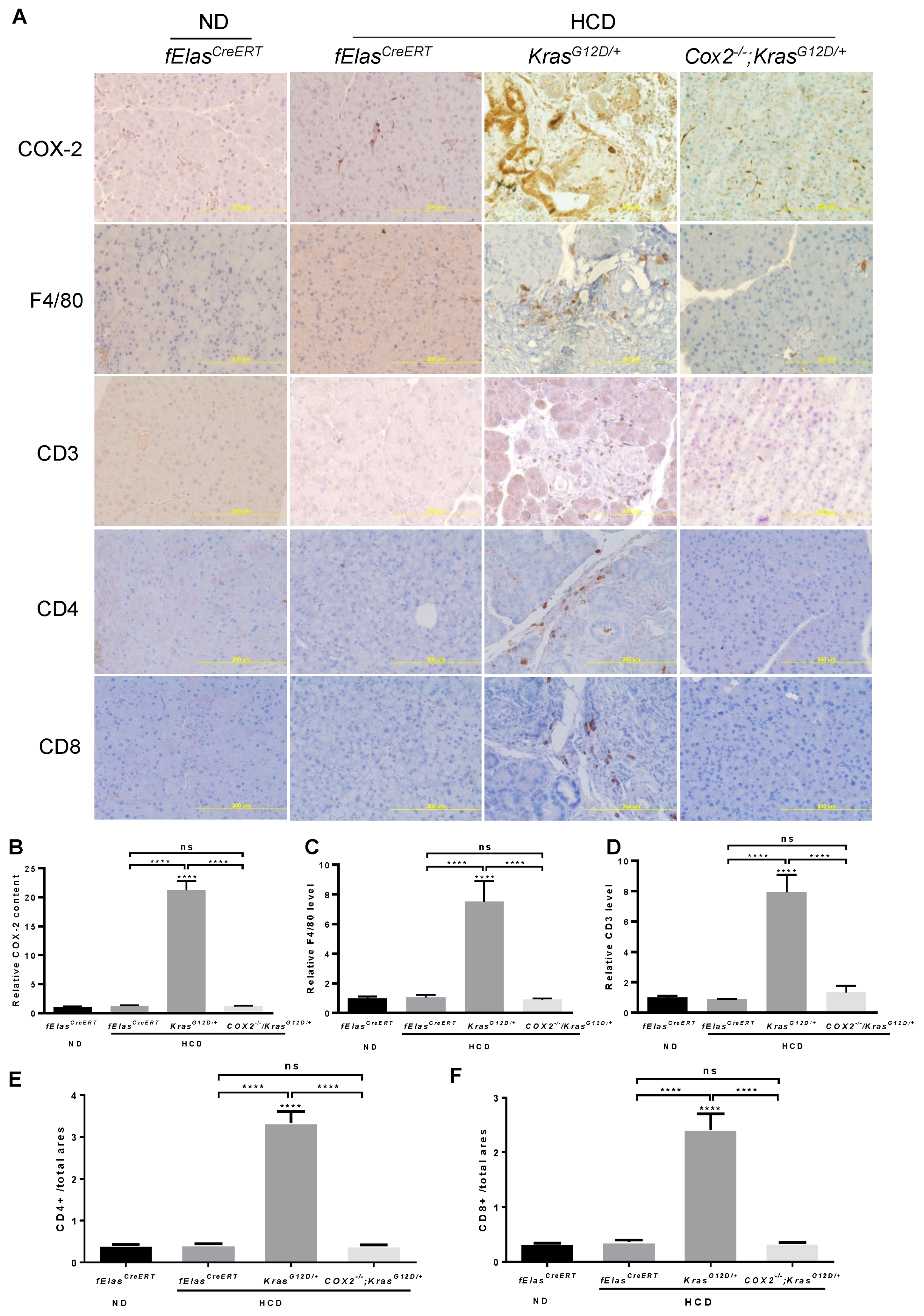 Cancers 14 02723 g005