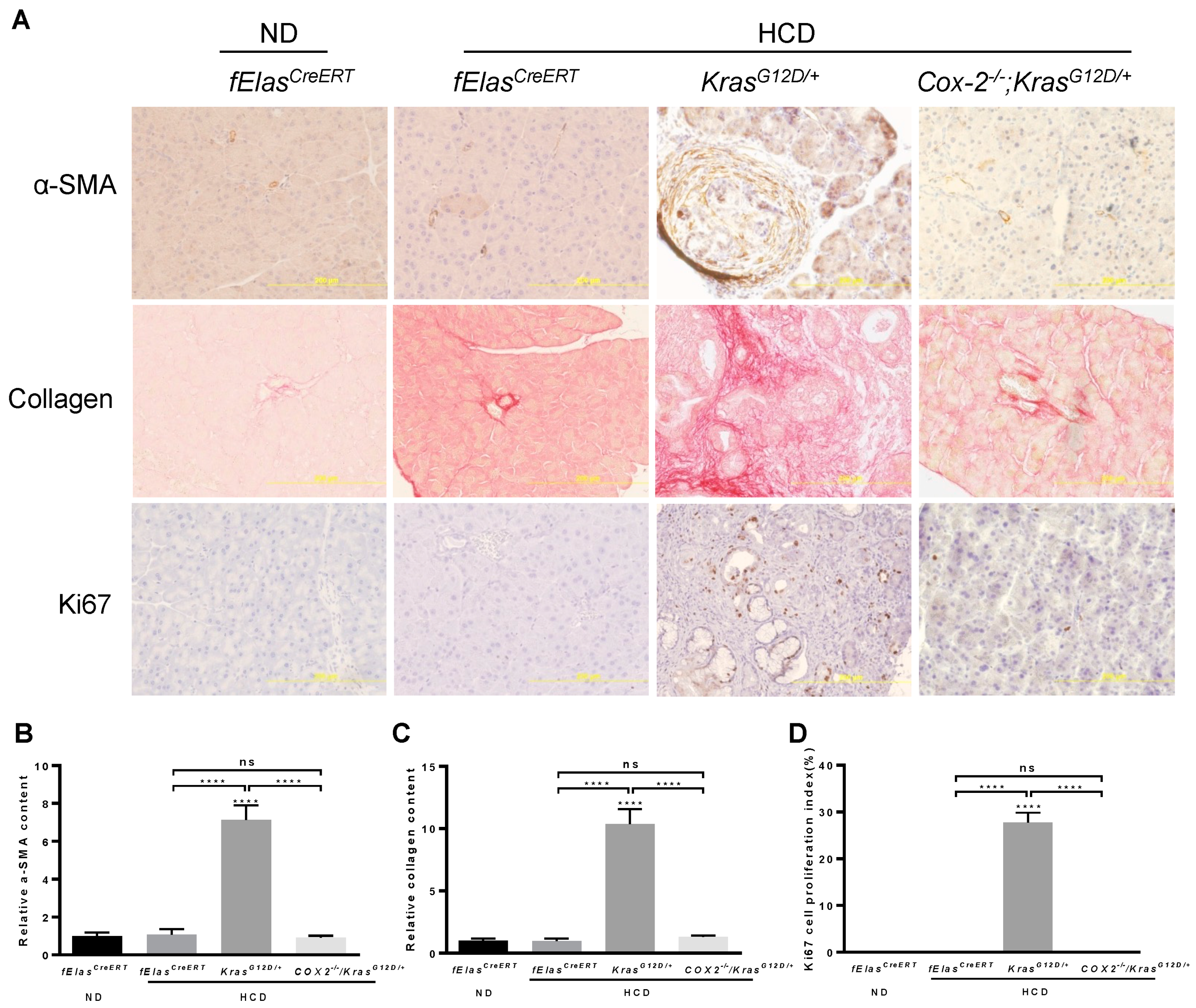 Cancers 14 02723 g006