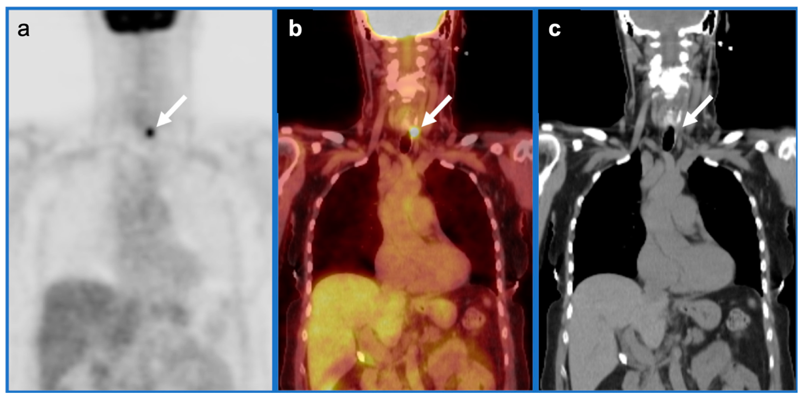 Cancers 14 02726 g031