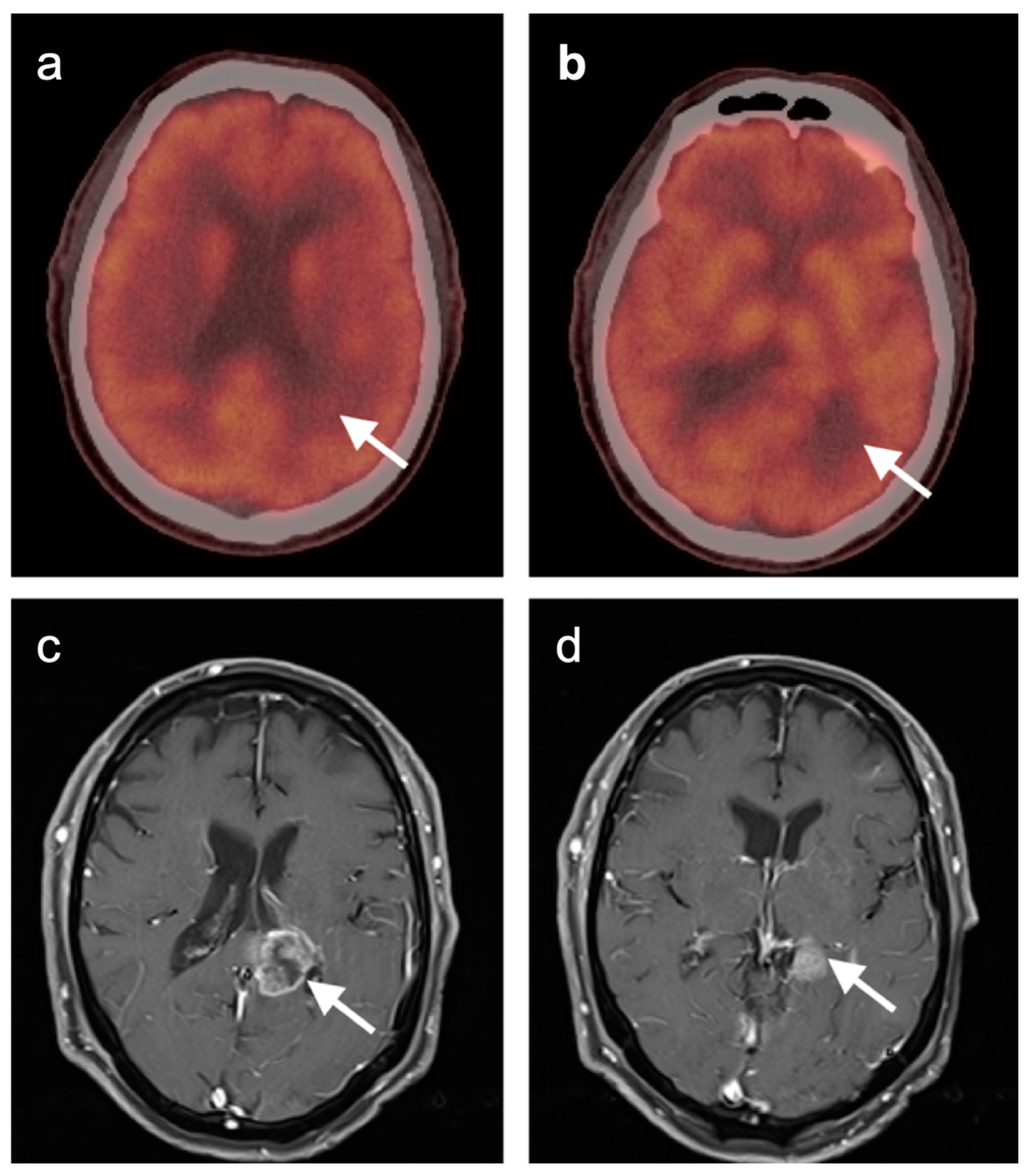 Cancers 14 02726 g040