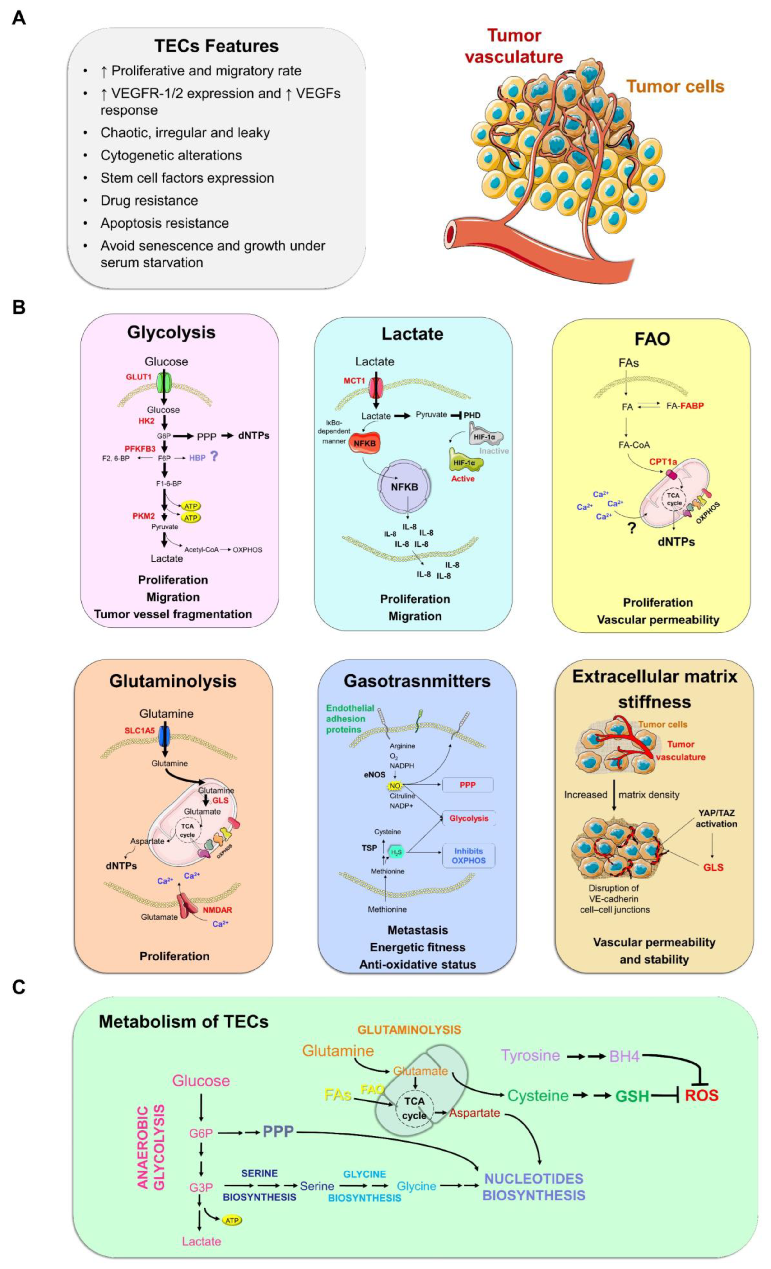 Cancers 14 02735 g001