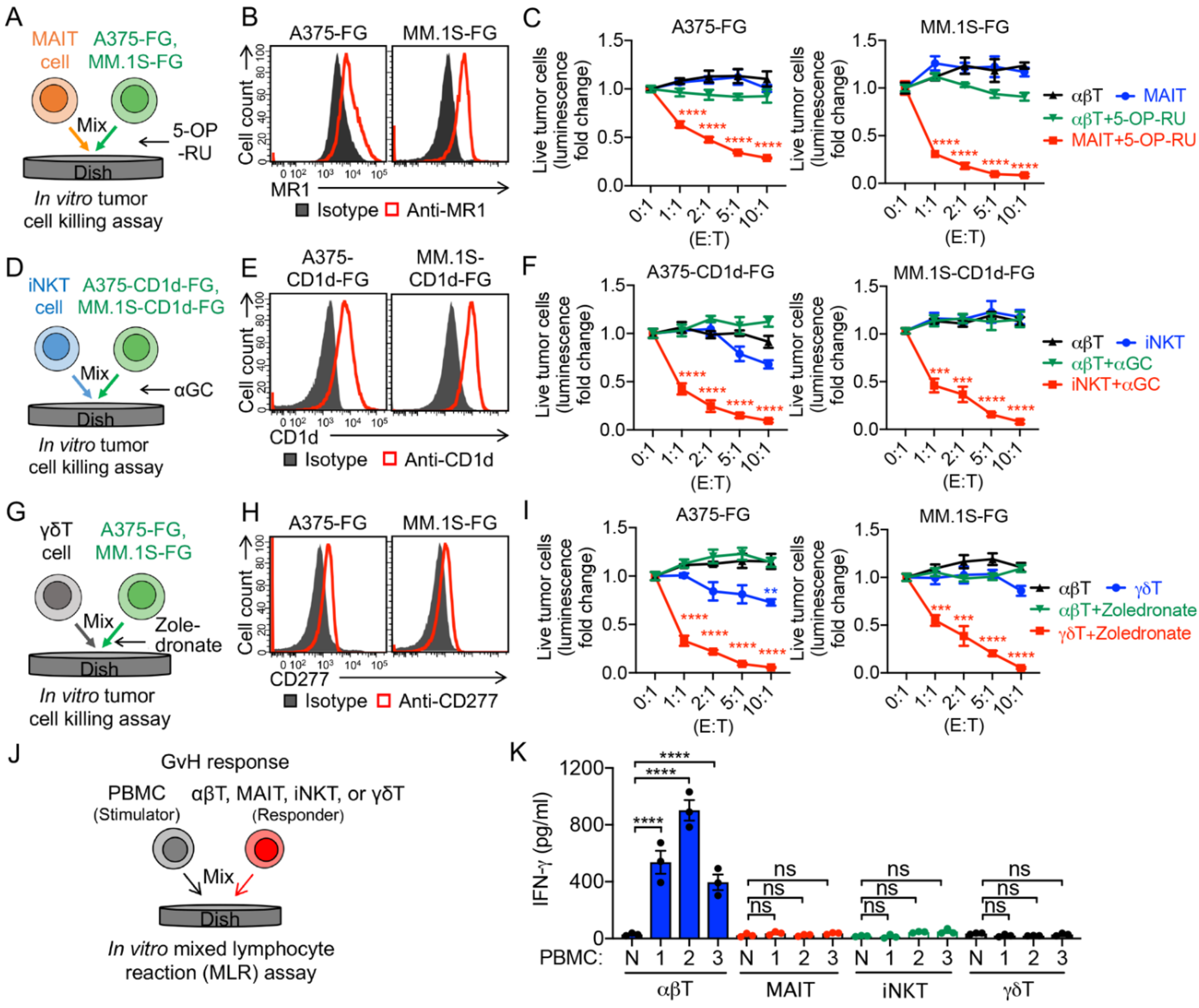 Cancers 14 02749 g002