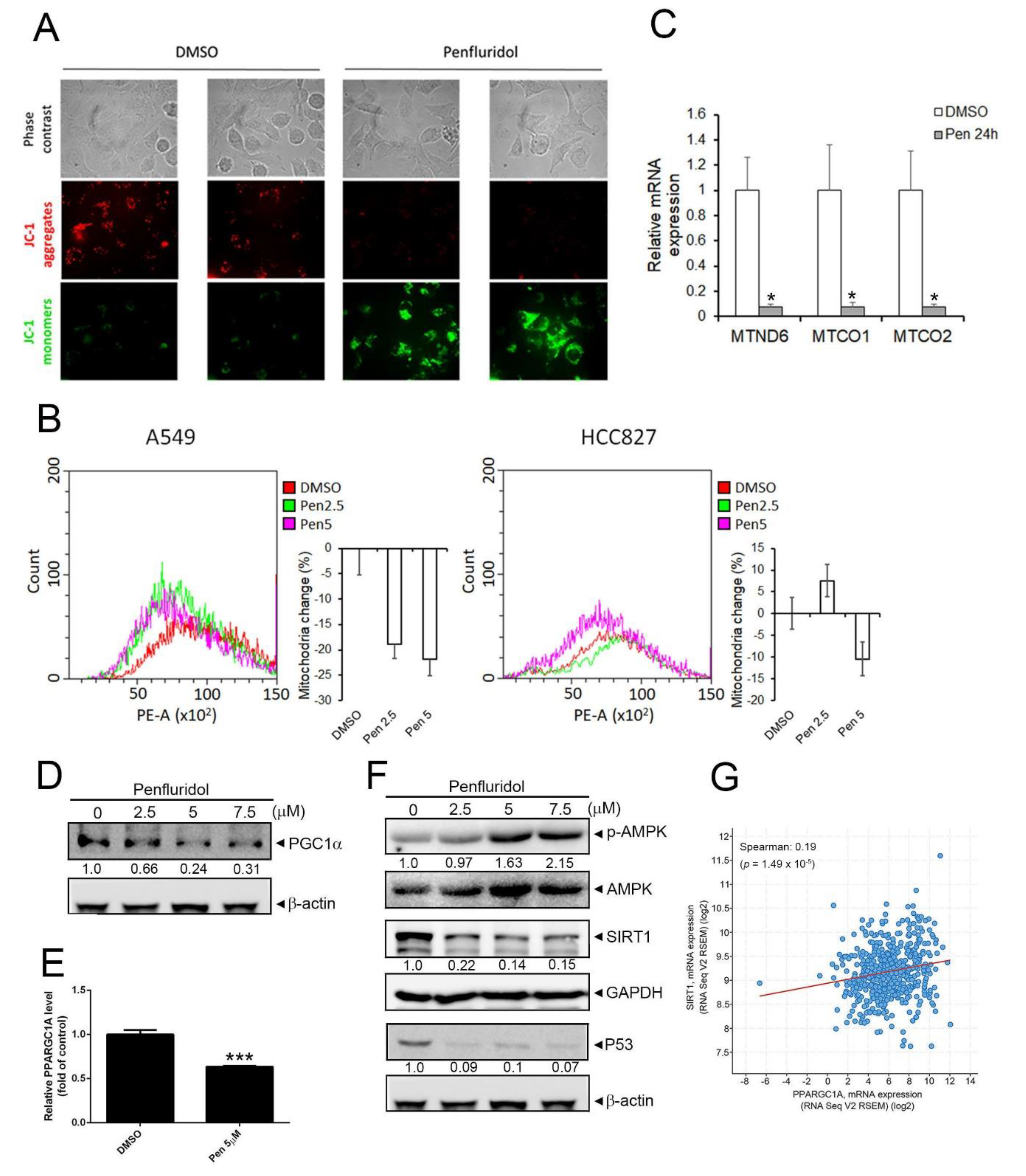 Cancers 14 02750 g002