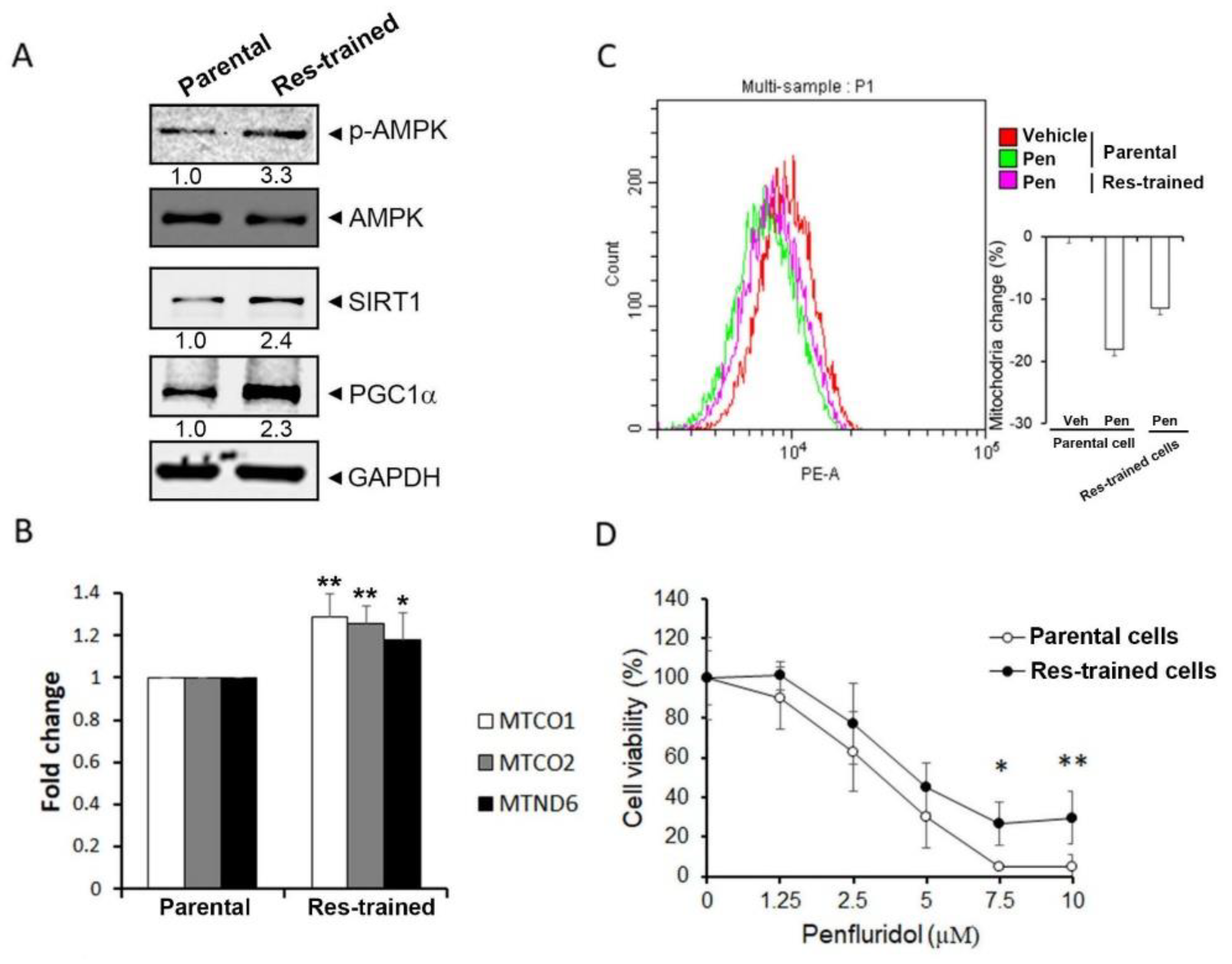 Cancers 14 02750 g004