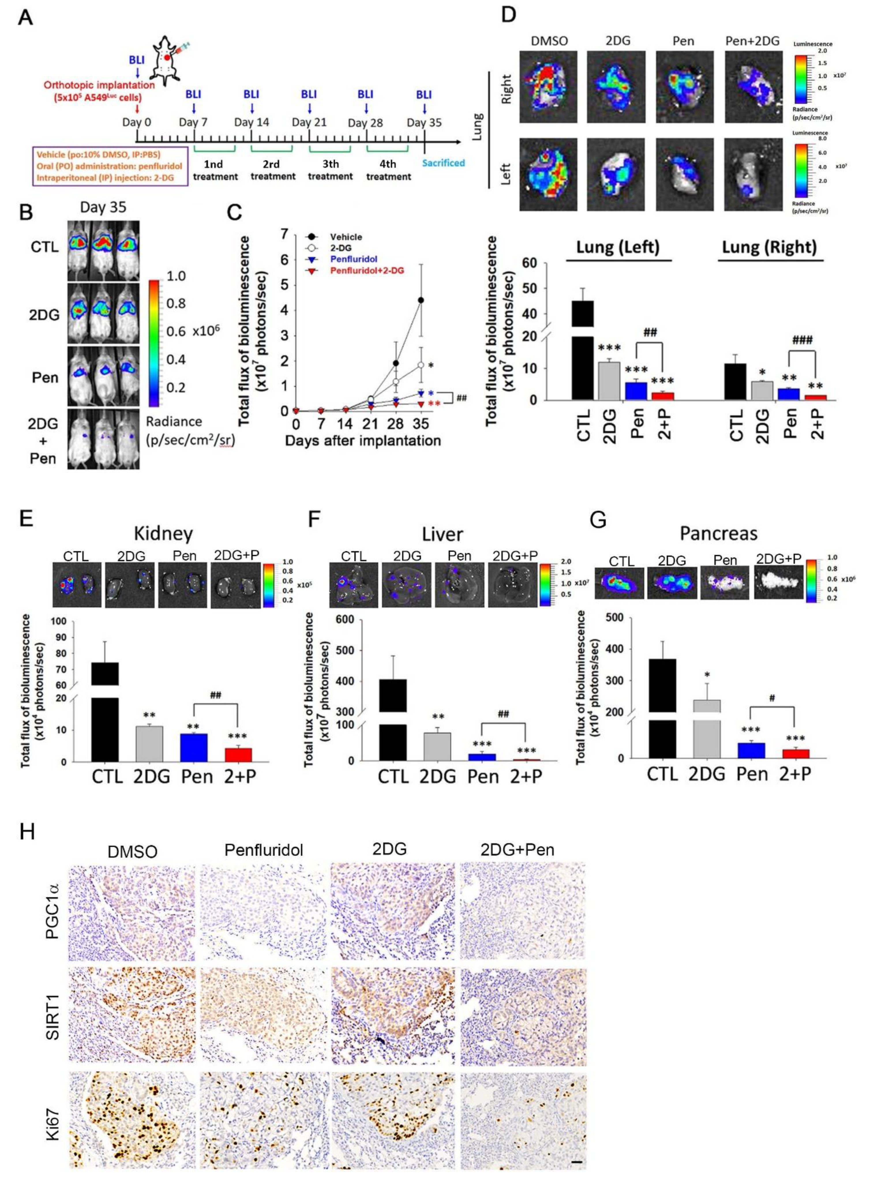 Cancers 14 02750 g005