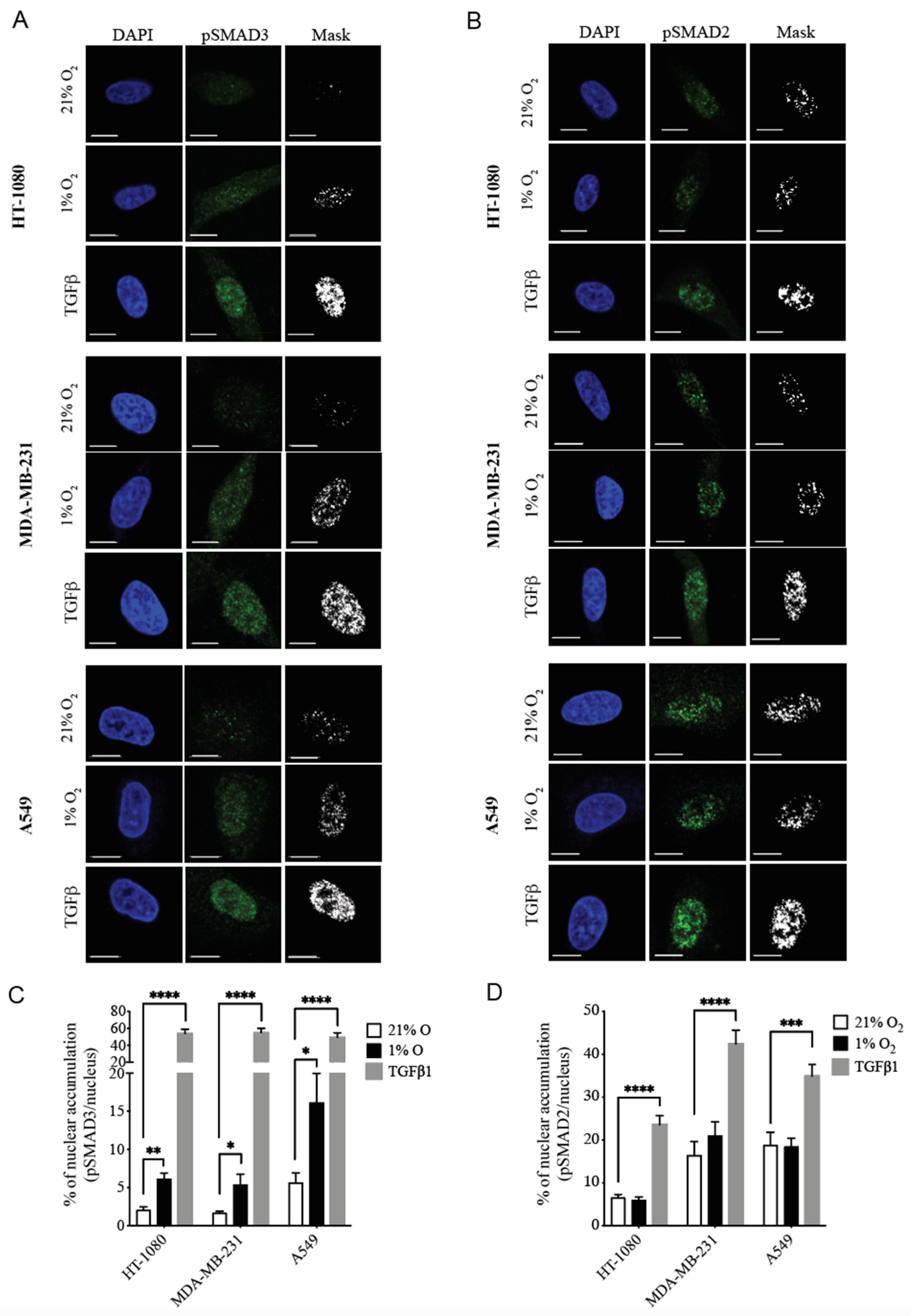 Cancers 14 02751 g001