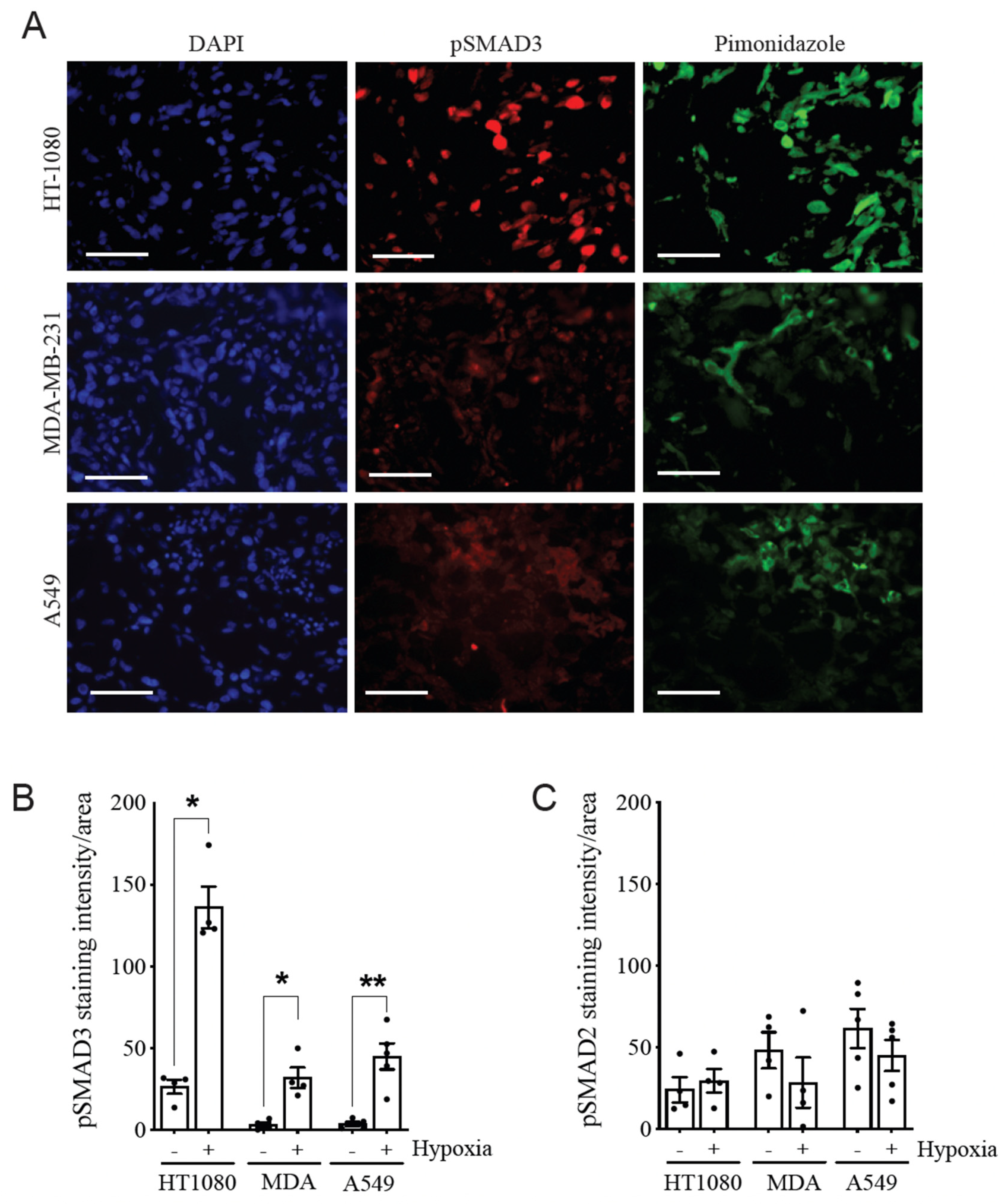 Cancers 14 02751 g002