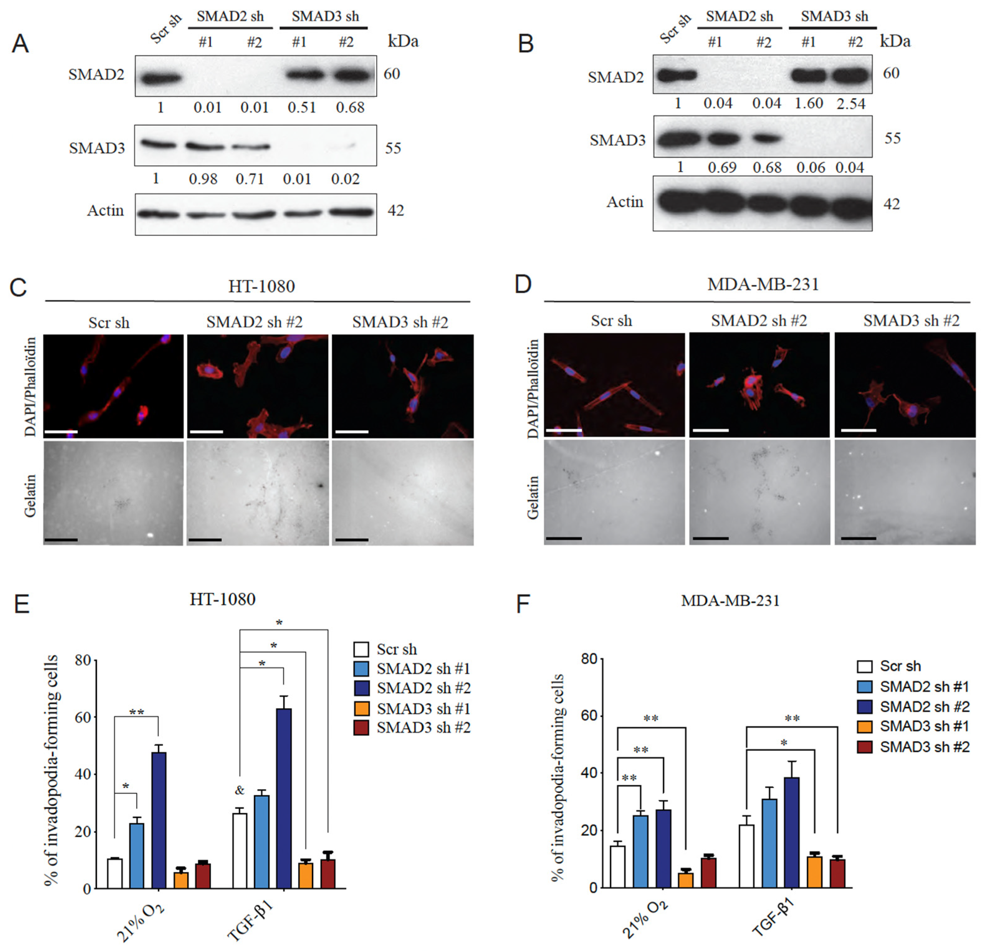 Cancers 14 02751 g003