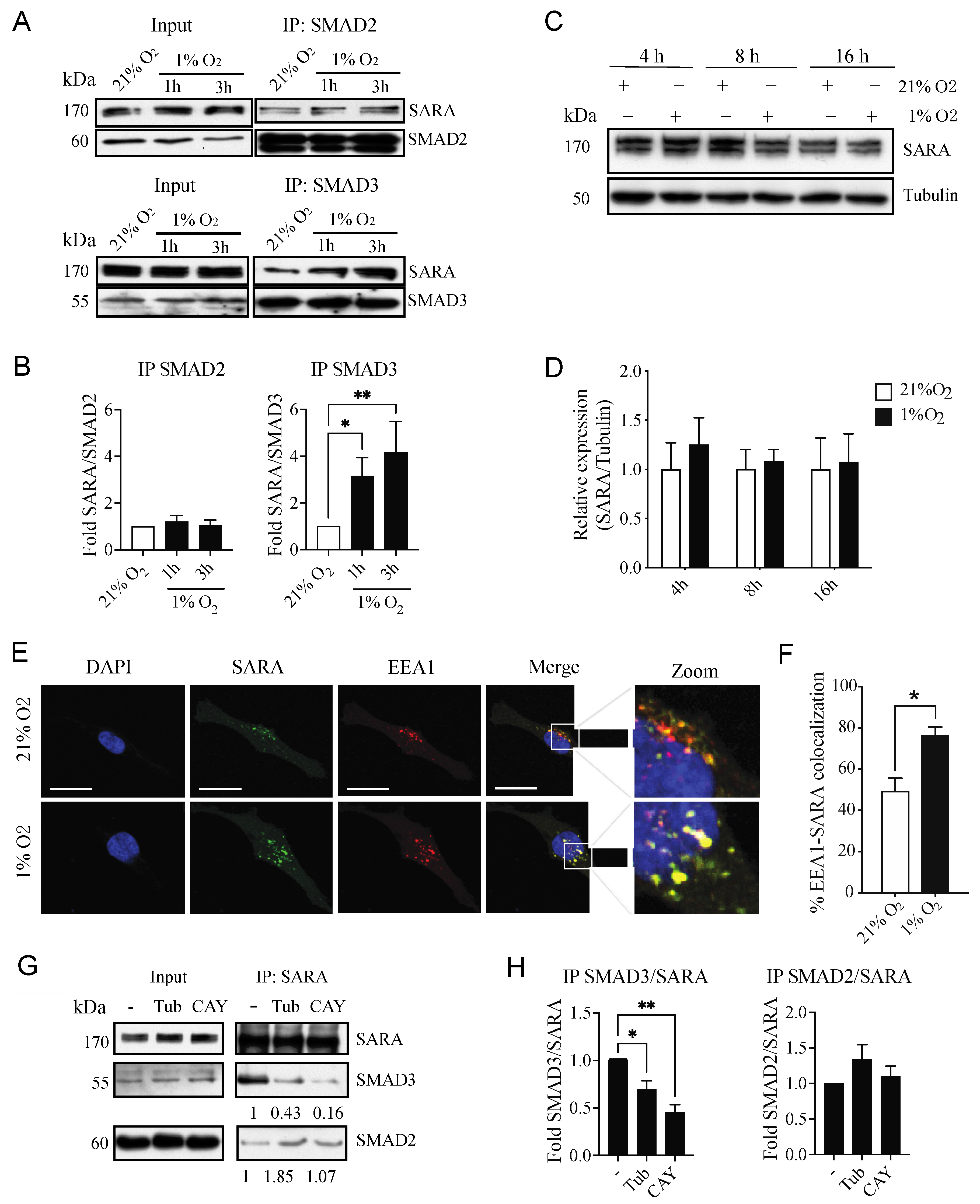 Cancers 14 02751 g006