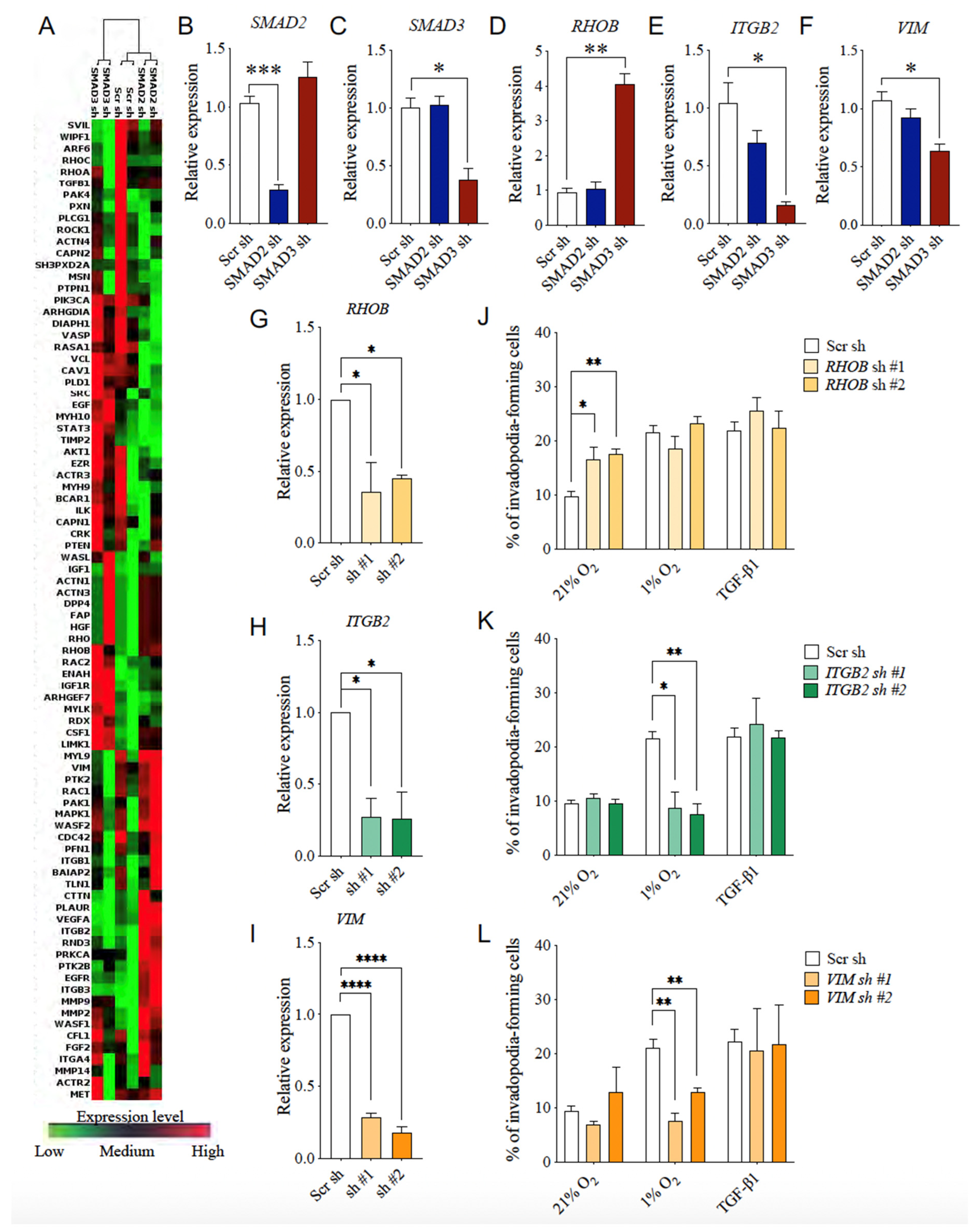 Cancers 14 02751 g008