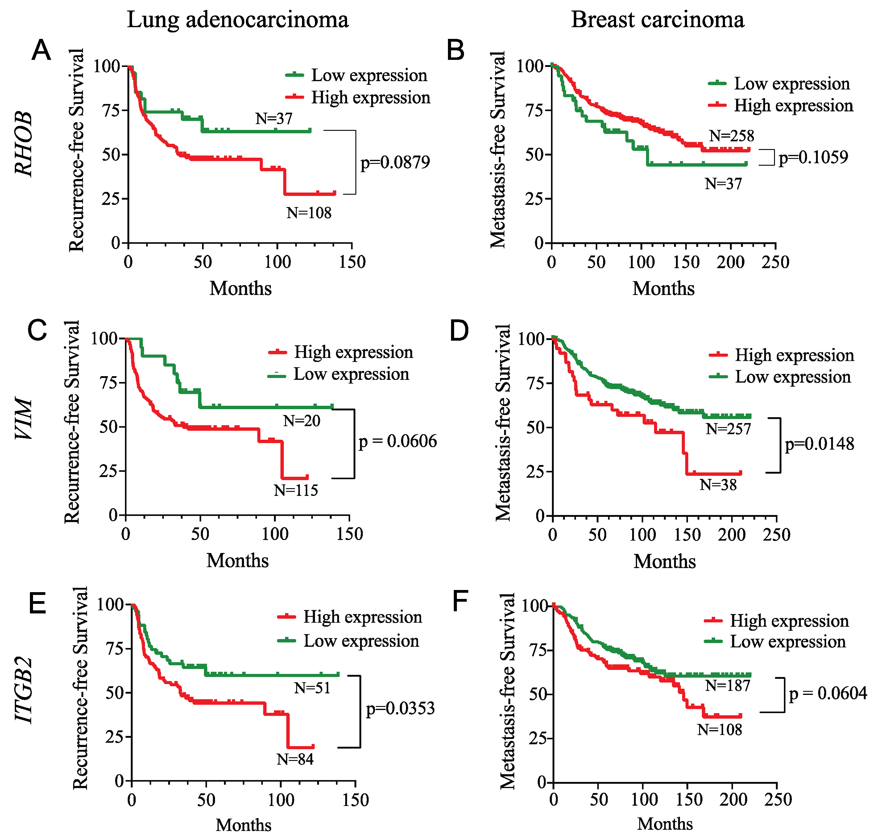 Cancers 14 02751 g011