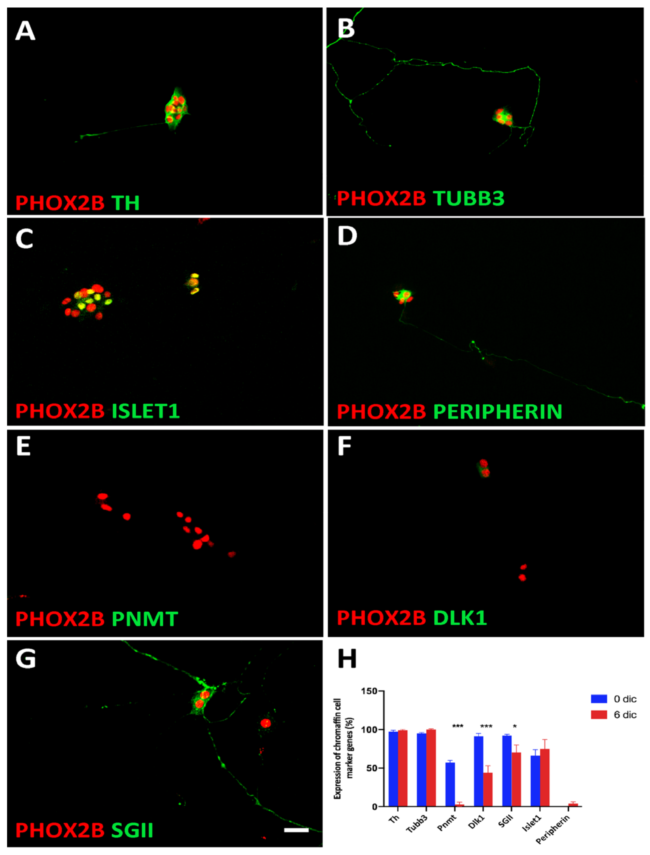 Cancers 14 02755 g008