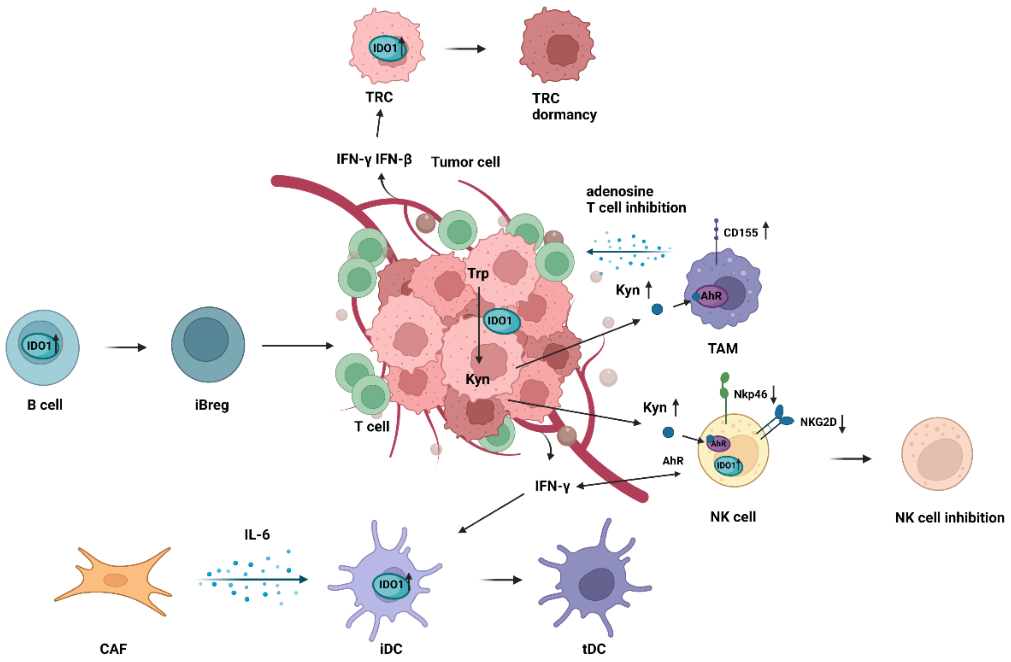 Cancers 14 02756 g003 Cancers 14 02756 g003