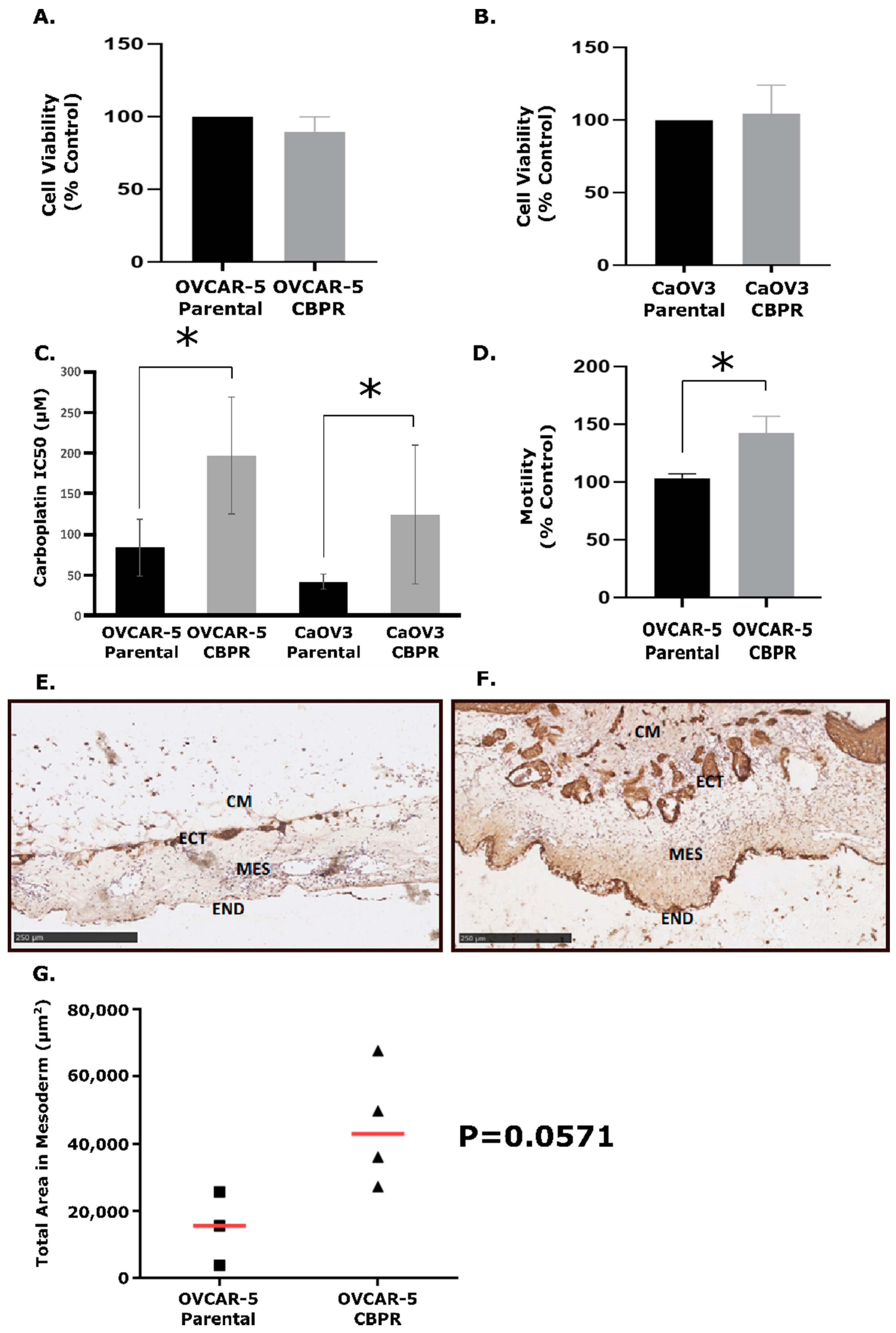 Cancers 14 02763 g001