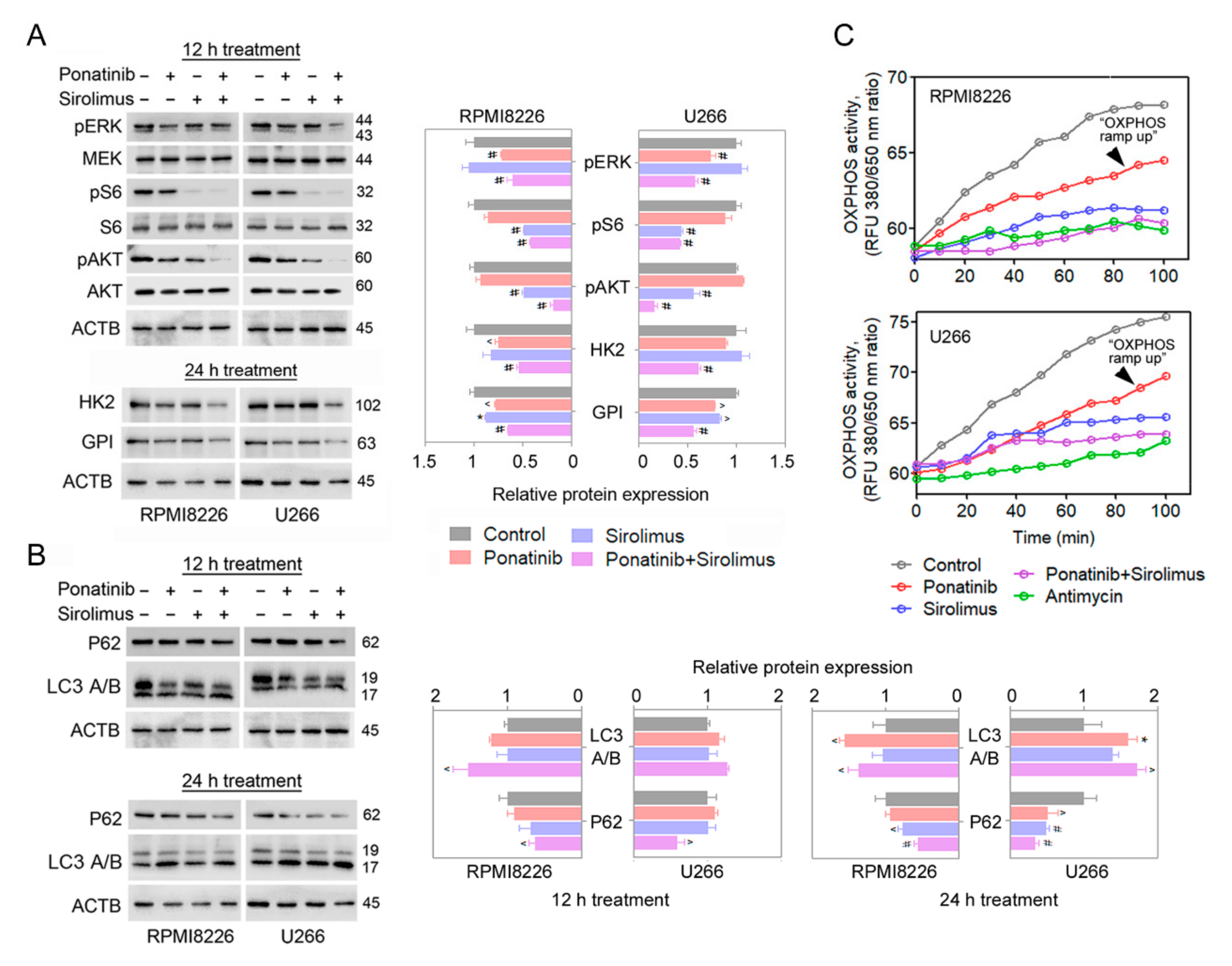 Cancers 14 02766 g004