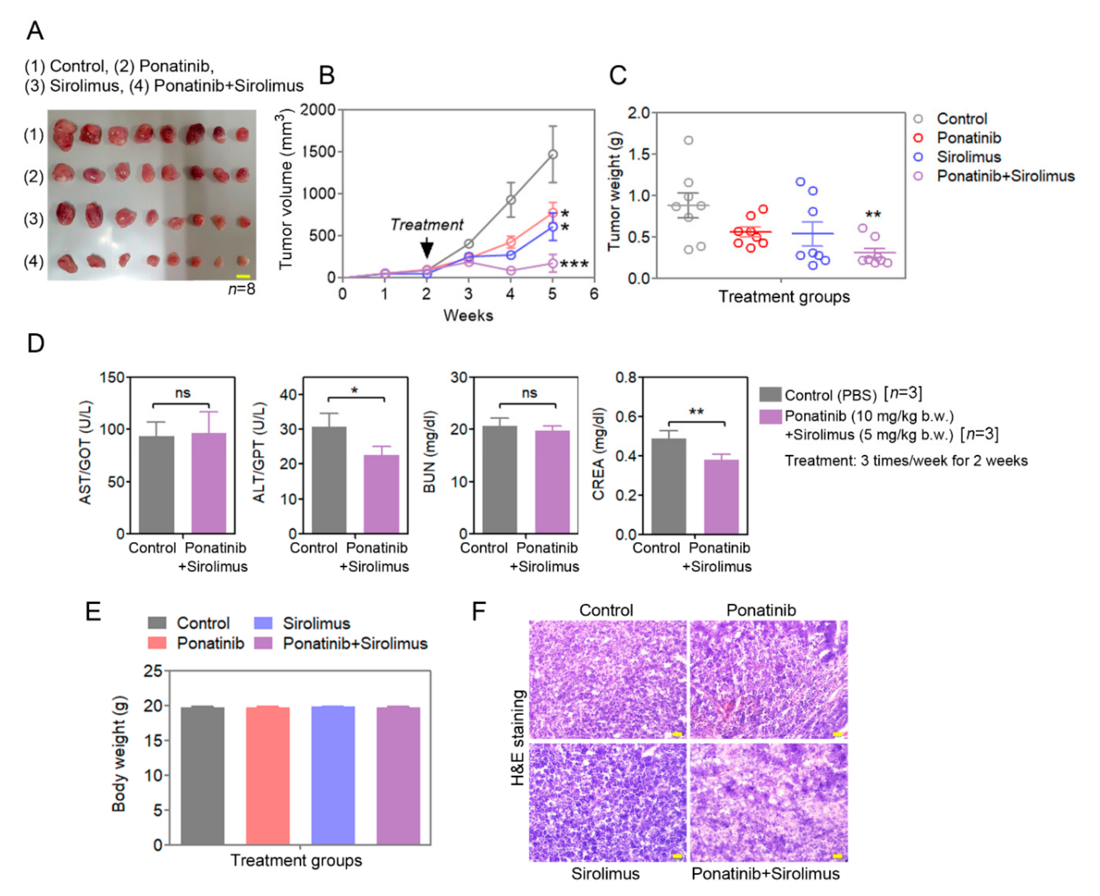 Cancers 14 02766 g006