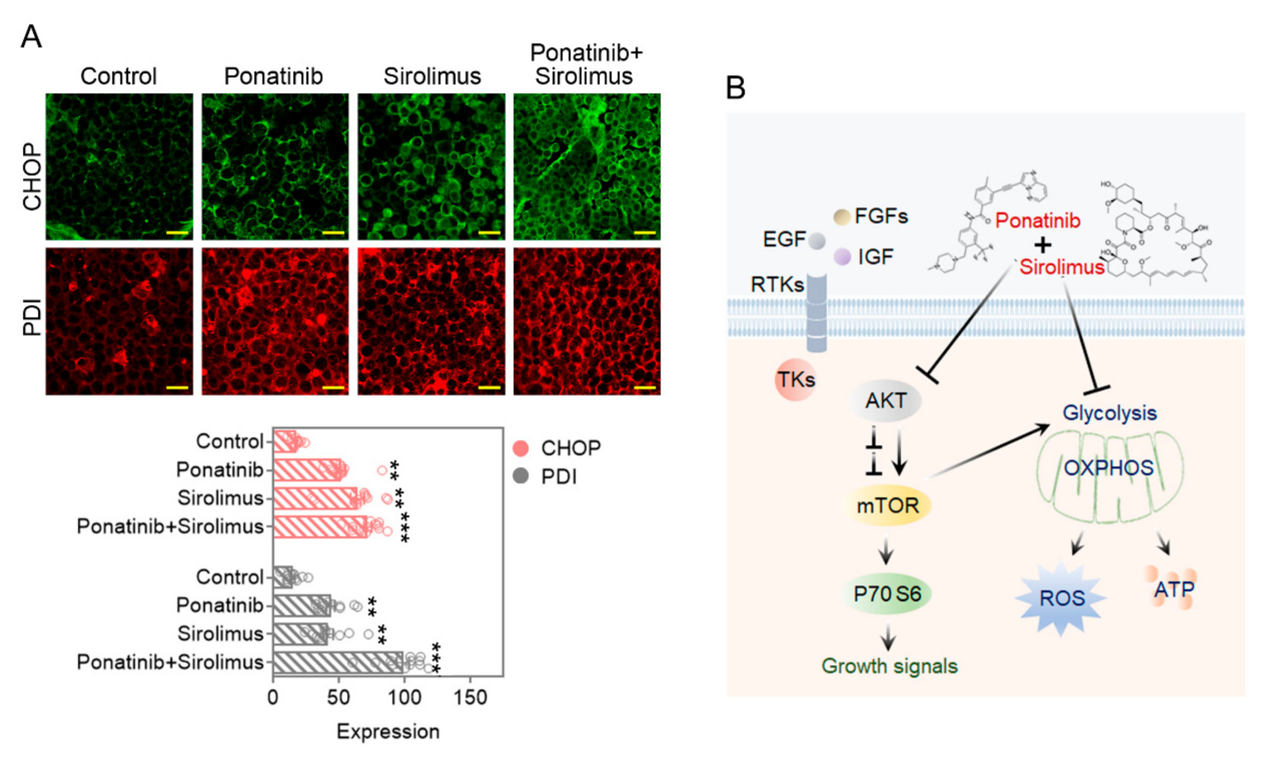 Cancers 14 02766 g008