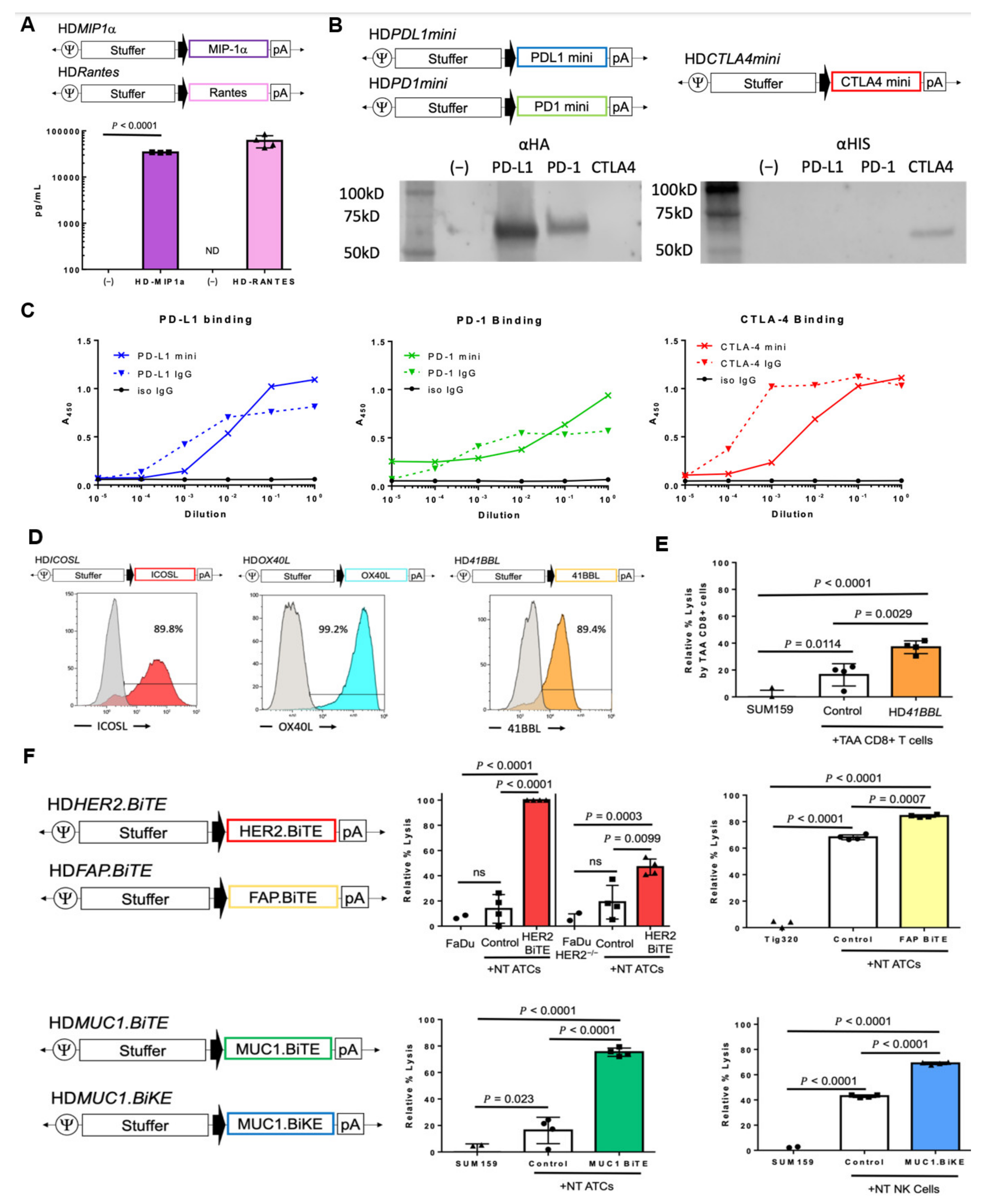 Cancers 14 02769 g002