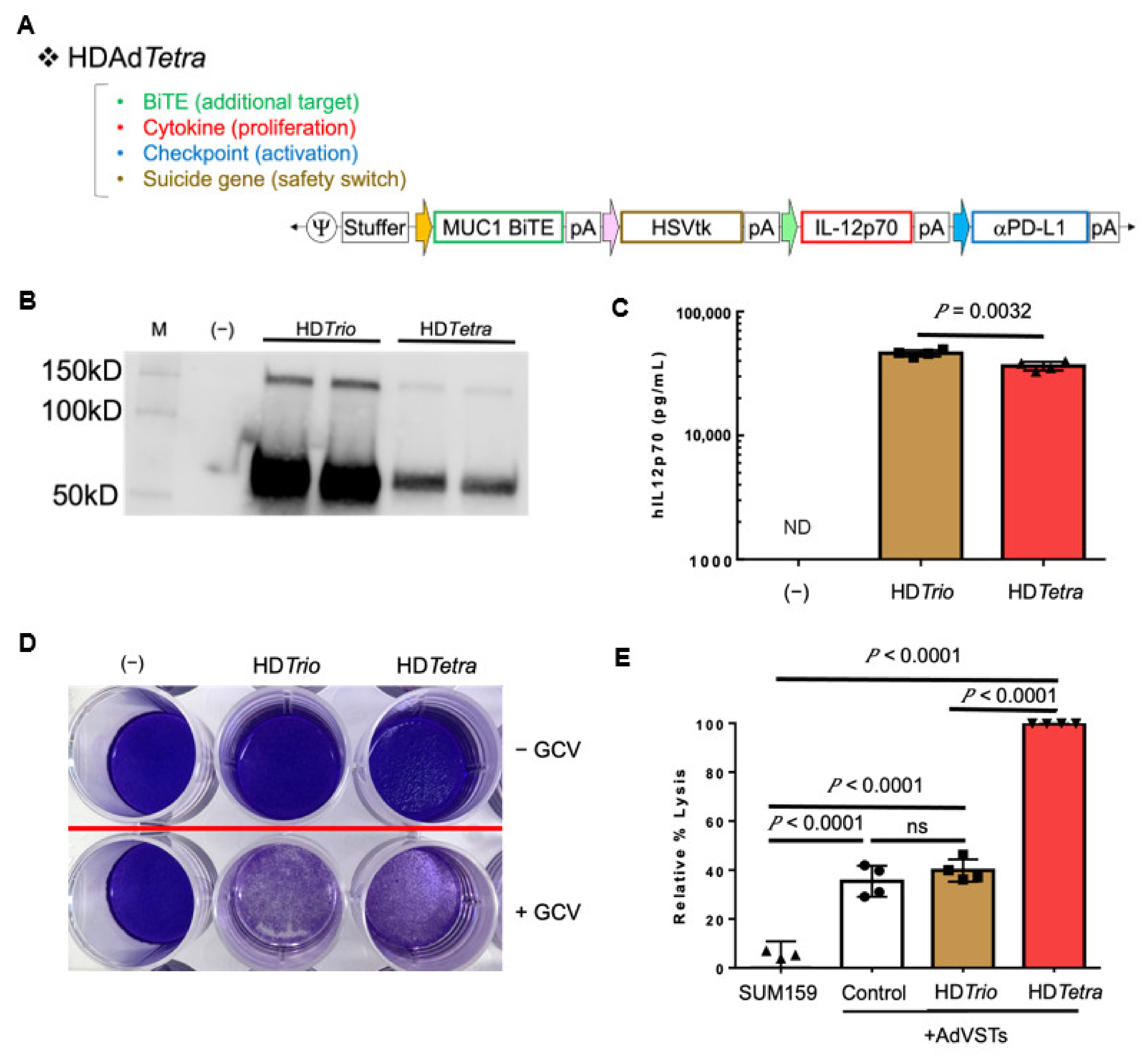 Cancers 14 02769 g005