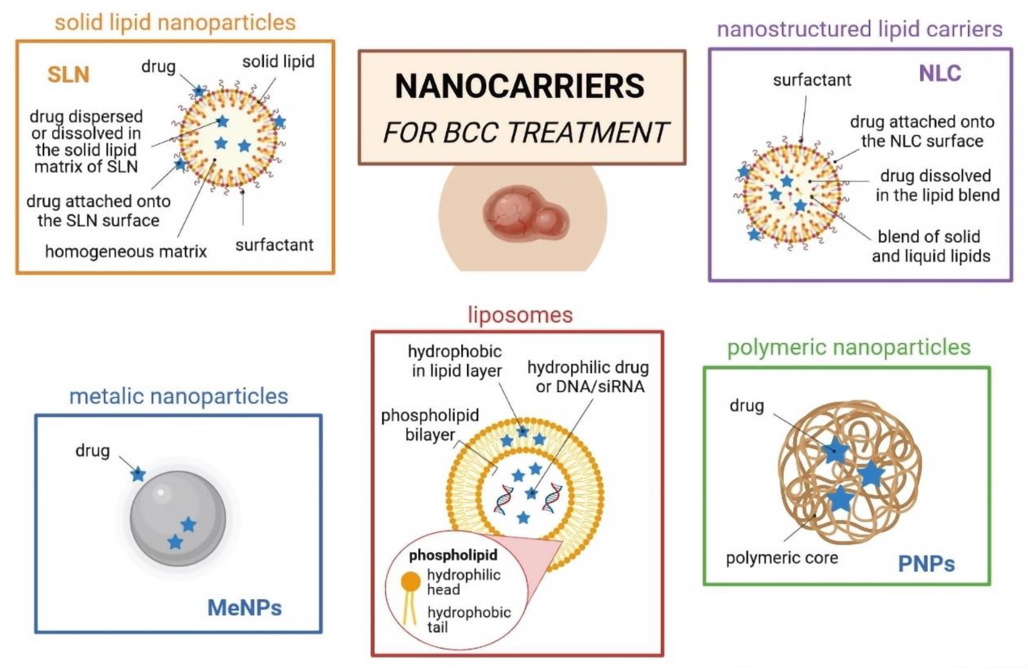Cancers 14 02778 g002