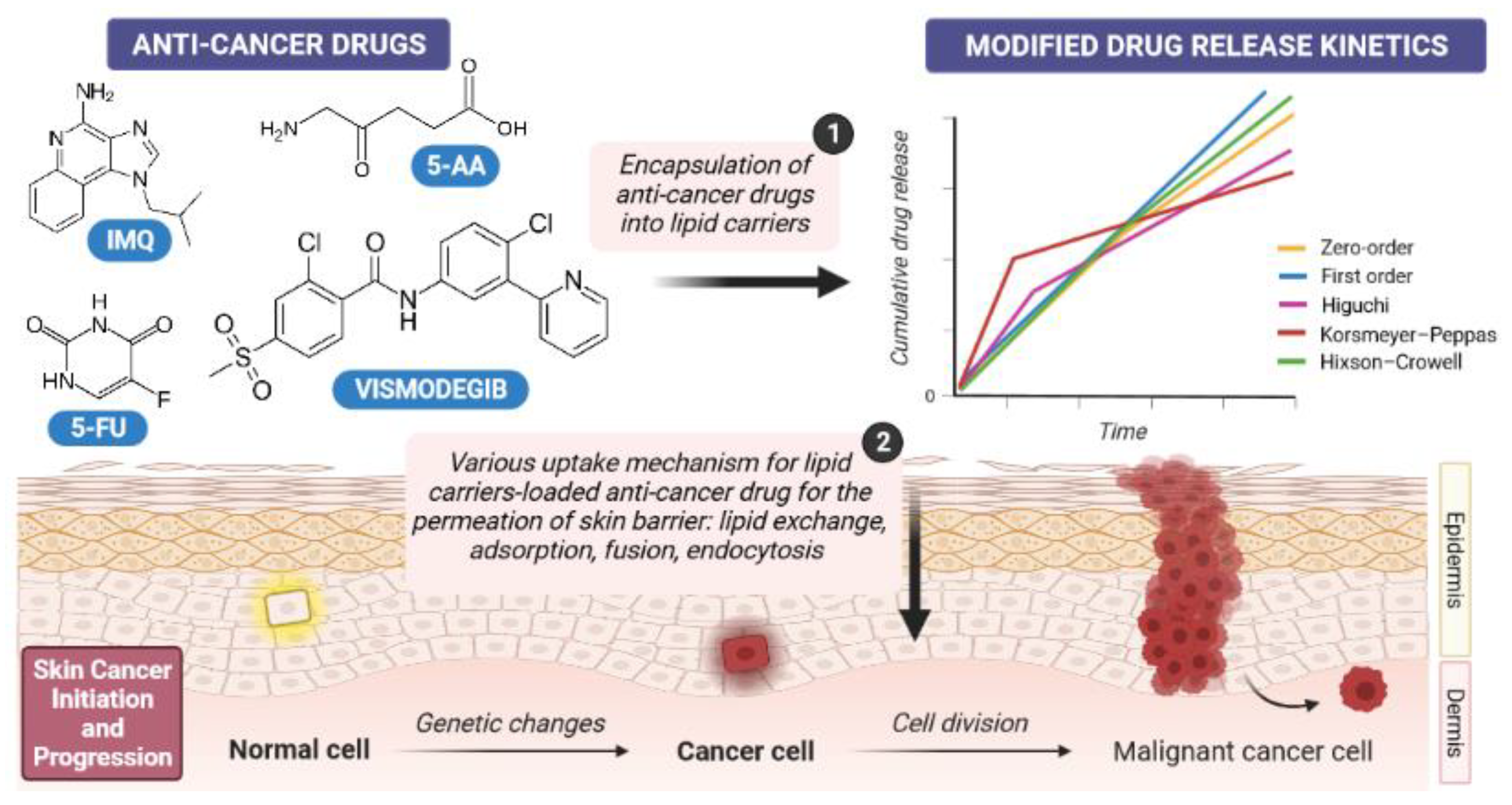 Cancers 14 02778 g004