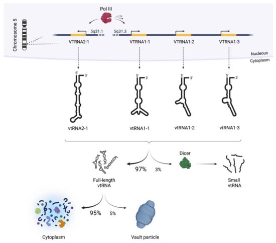 Cancers 14 02787 g001 Cancers 14 02787 g001