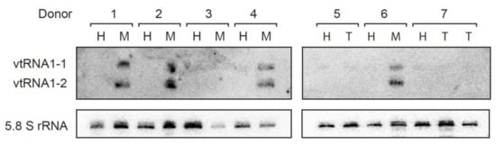 Cancers 14 02787 g002 Cancers 14 02787 g002