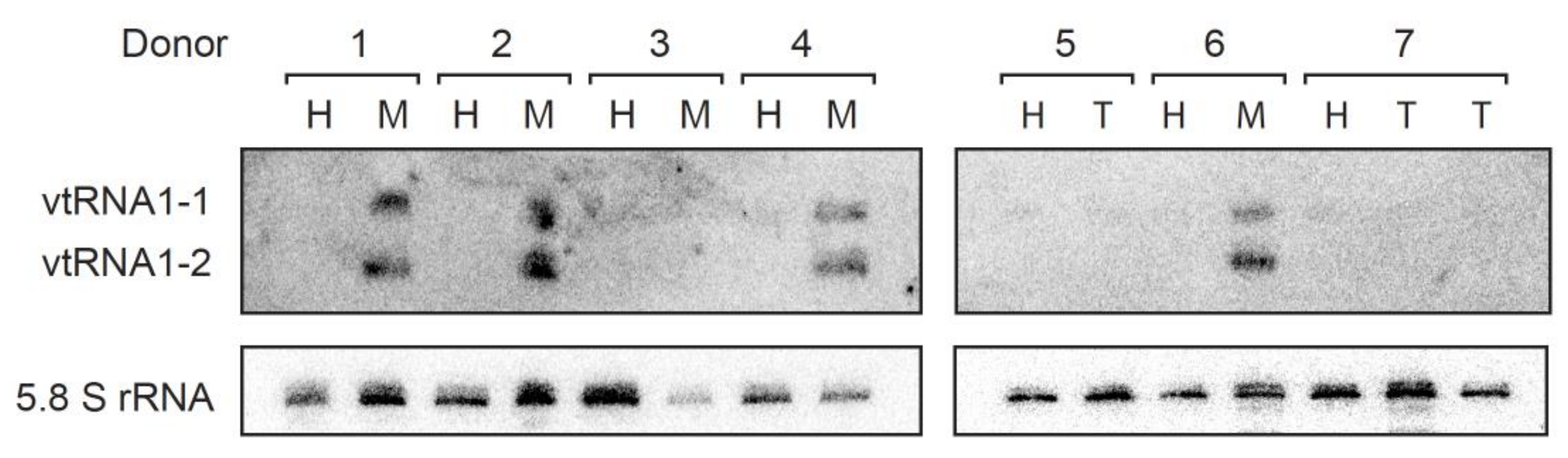 Cancers 14 02787 g002