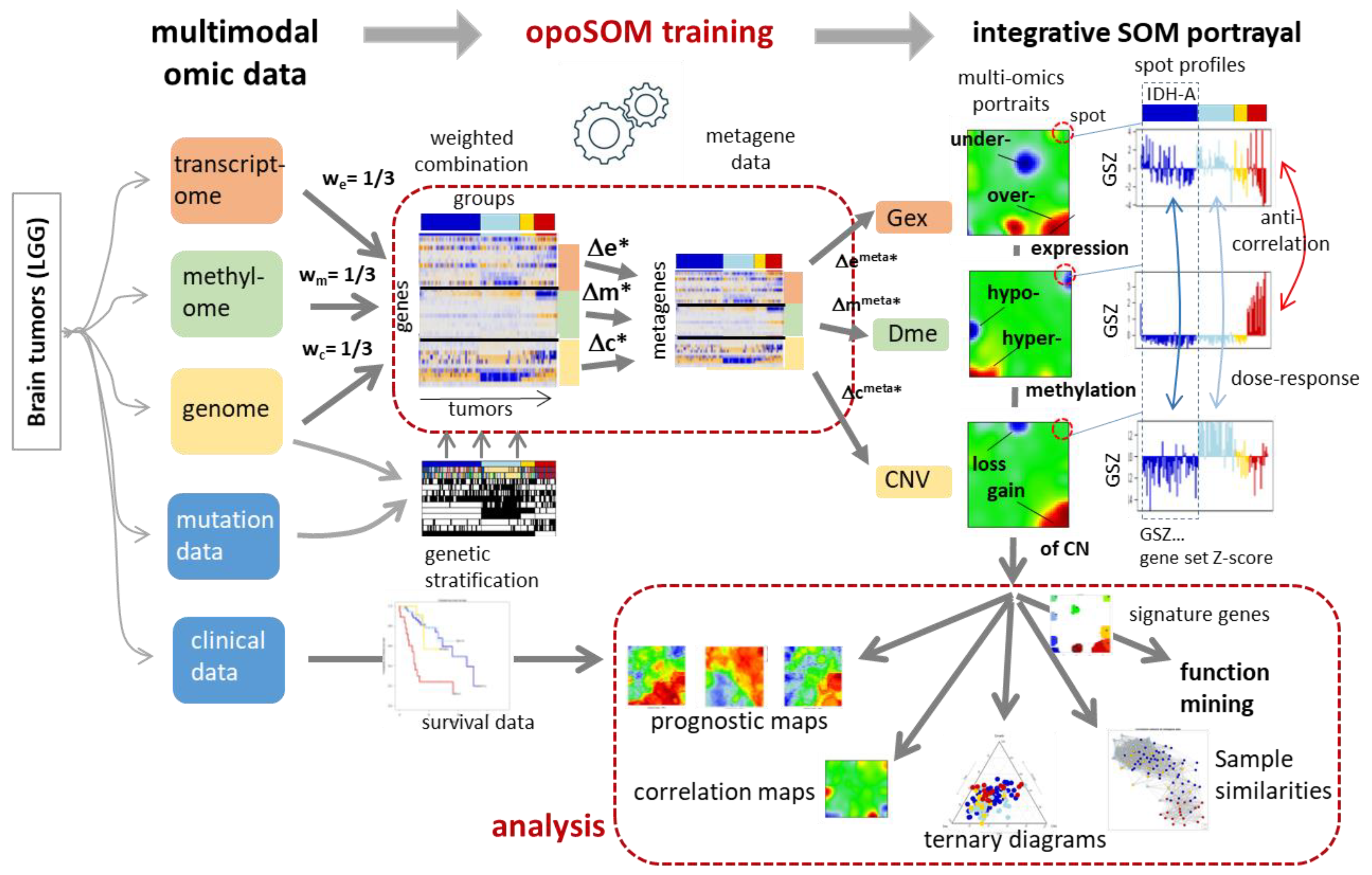 Cancers 14 02797 g001