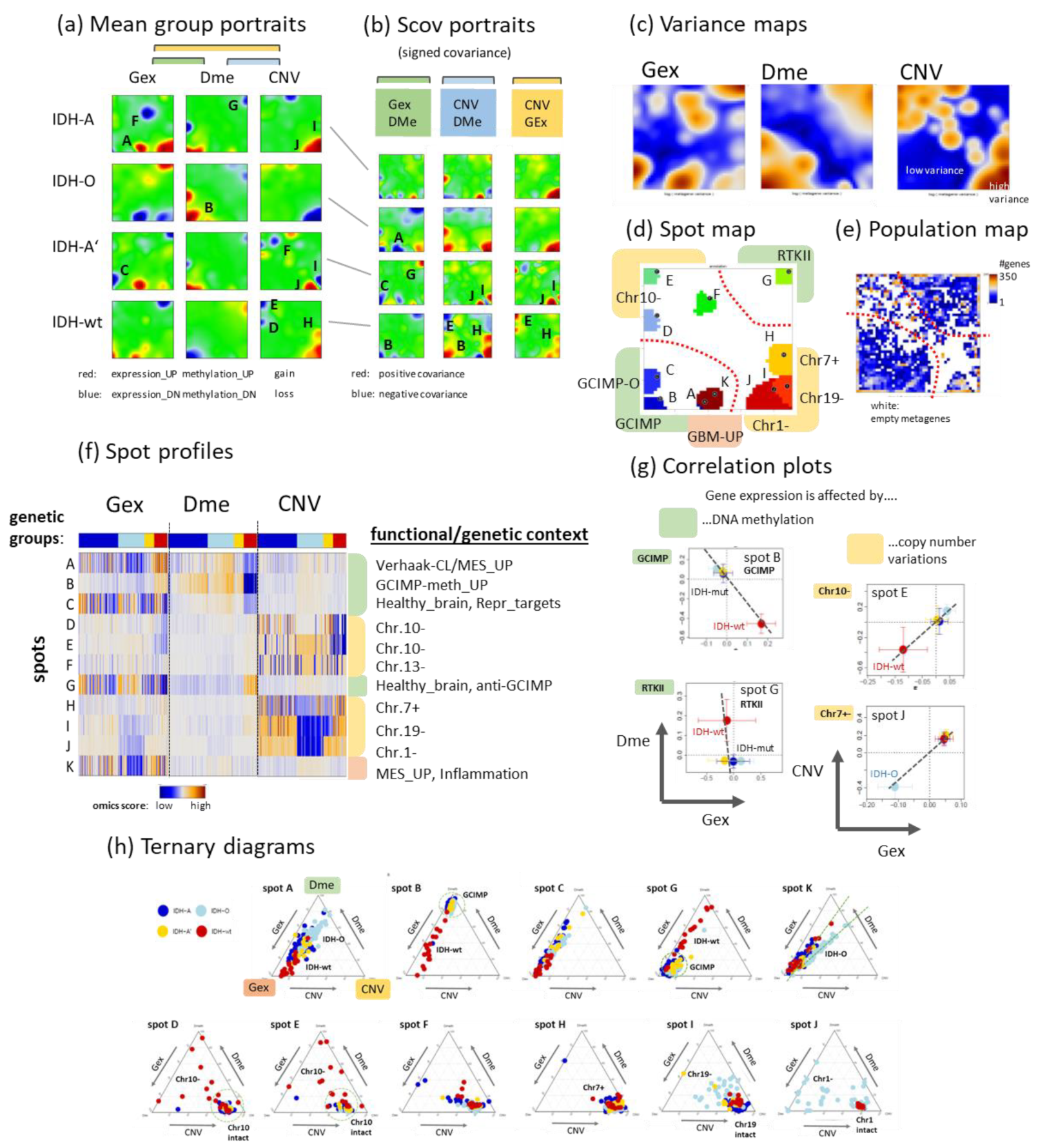 Cancers 14 02797 g004