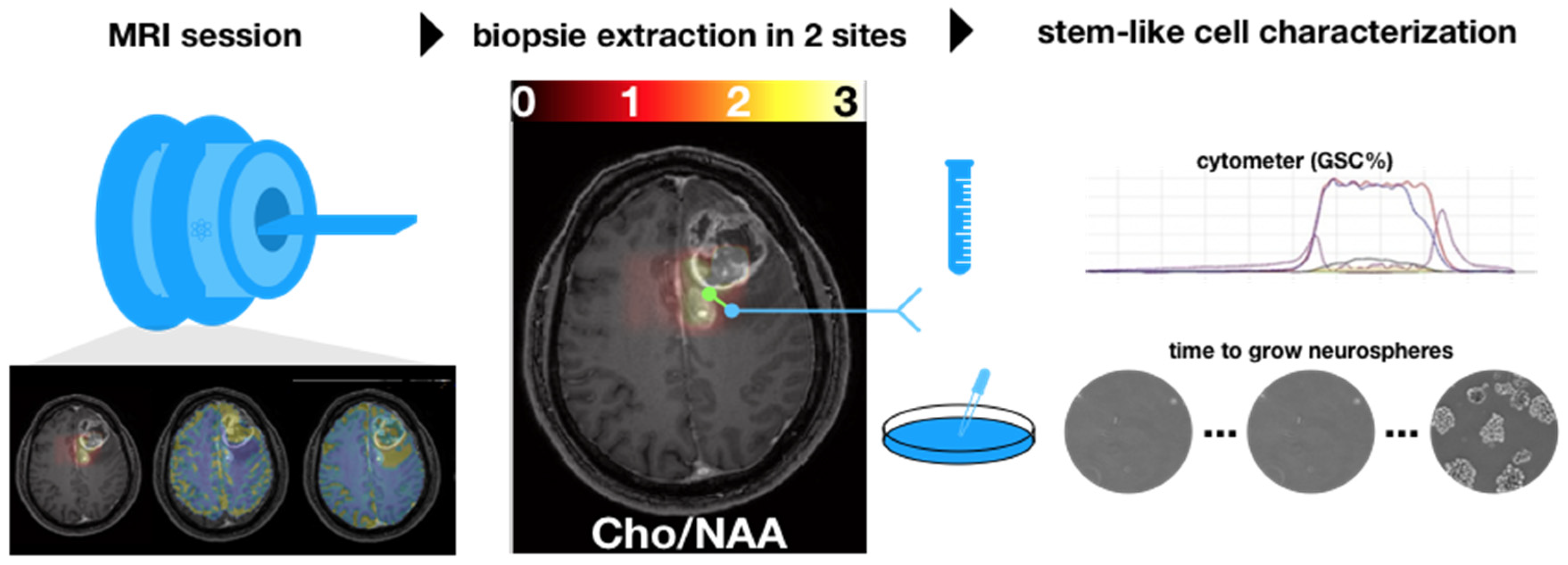 Cancers 14 02803 g001