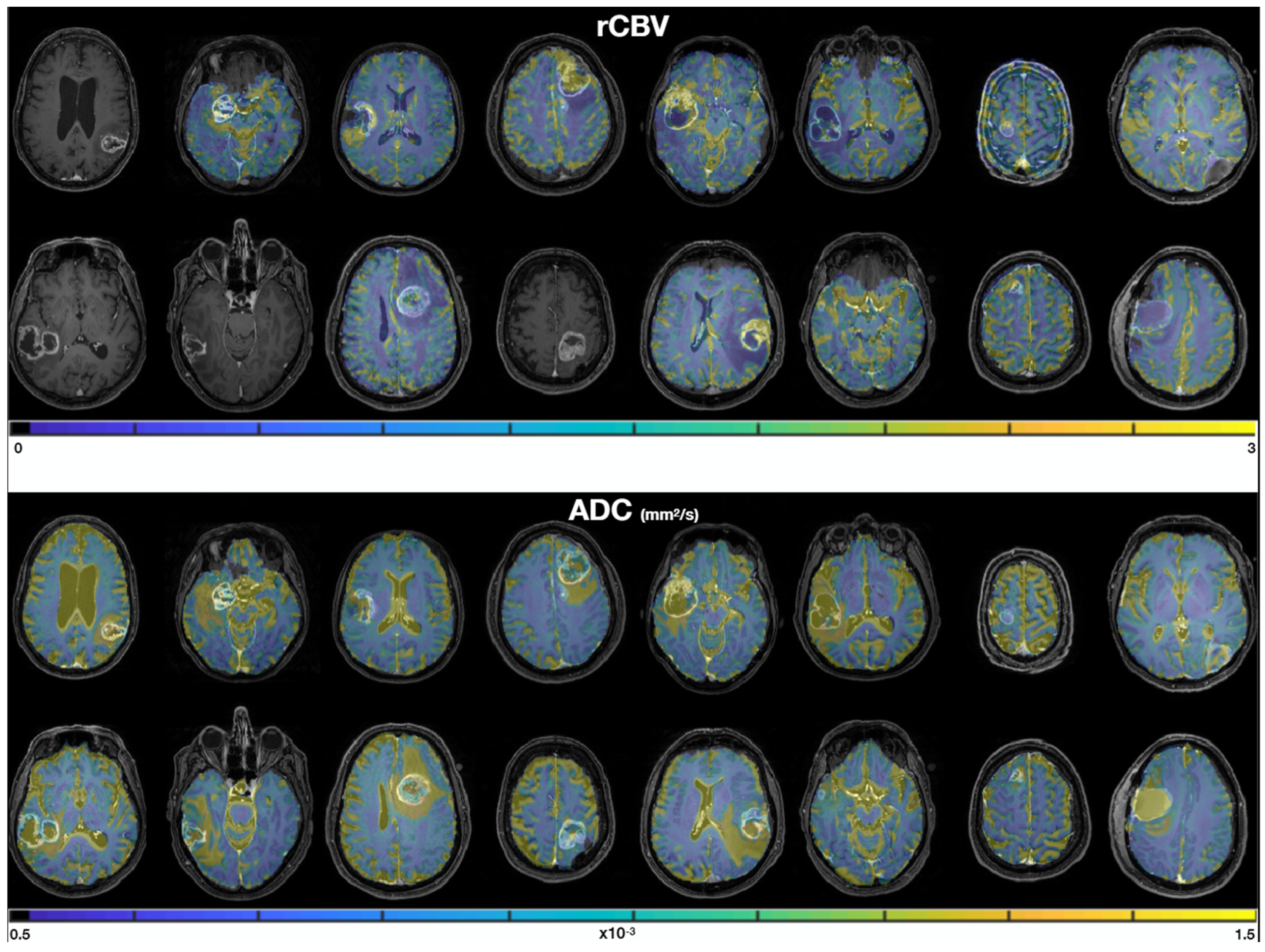 Cancers 14 02803 g003