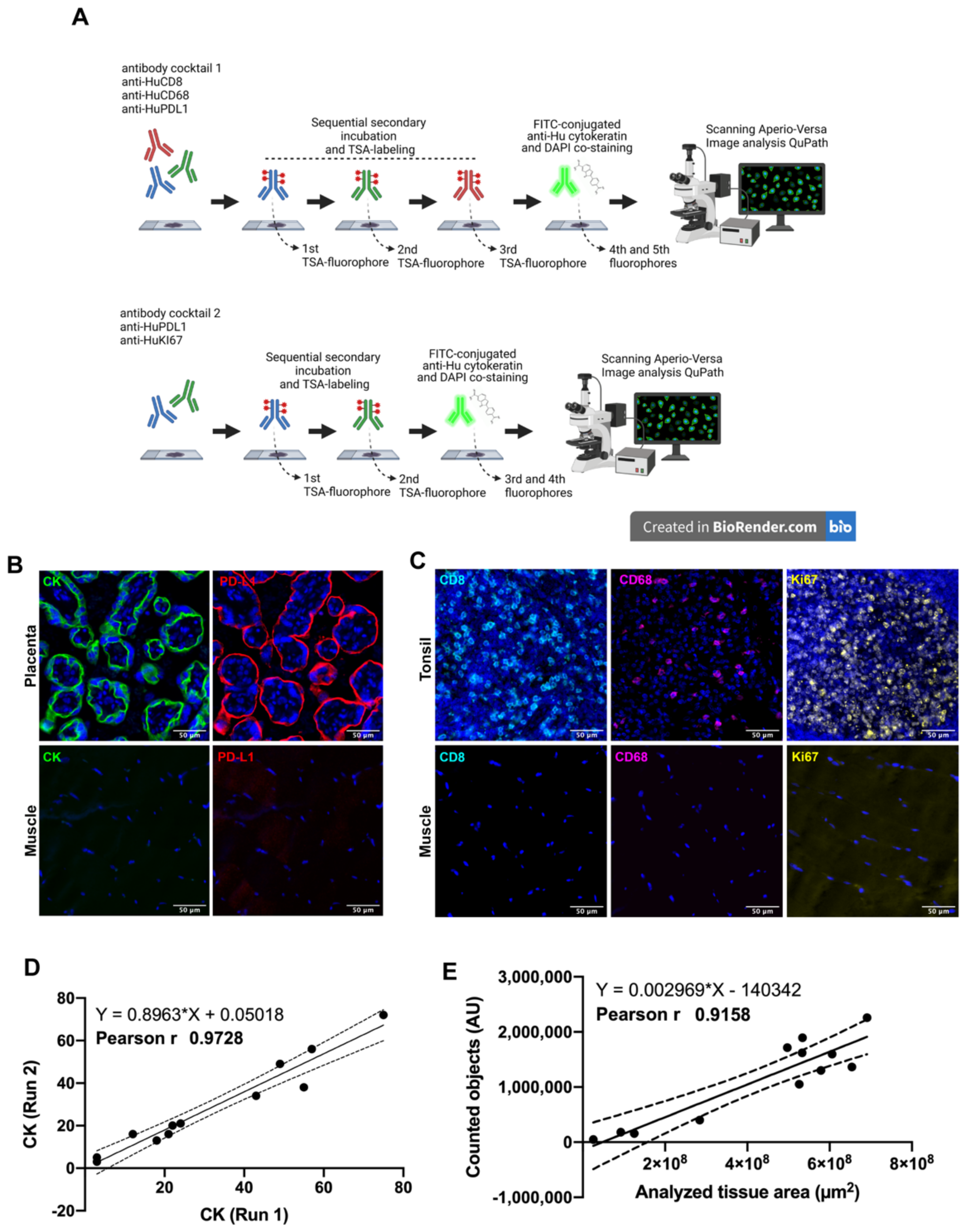 Cancers 14 02815 g001