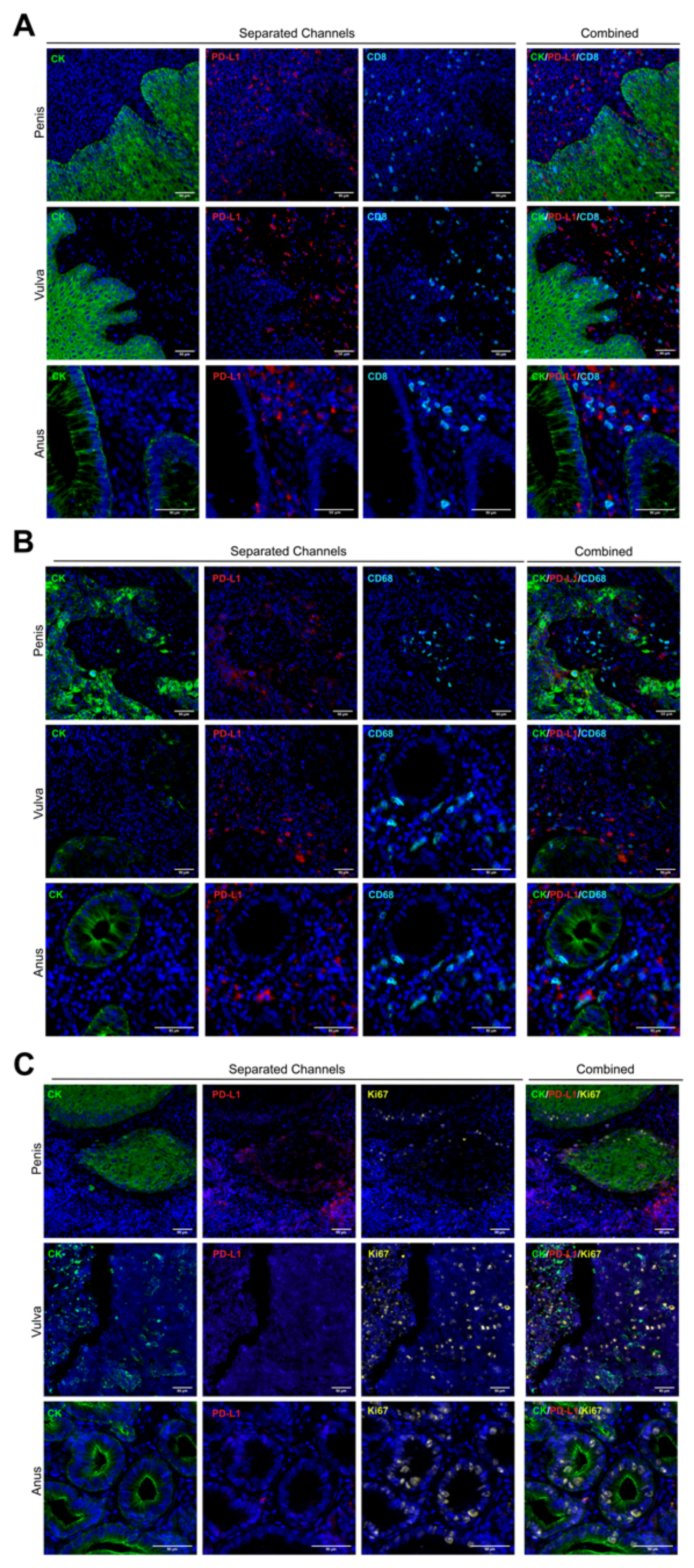 Cancers 14 02815 g002