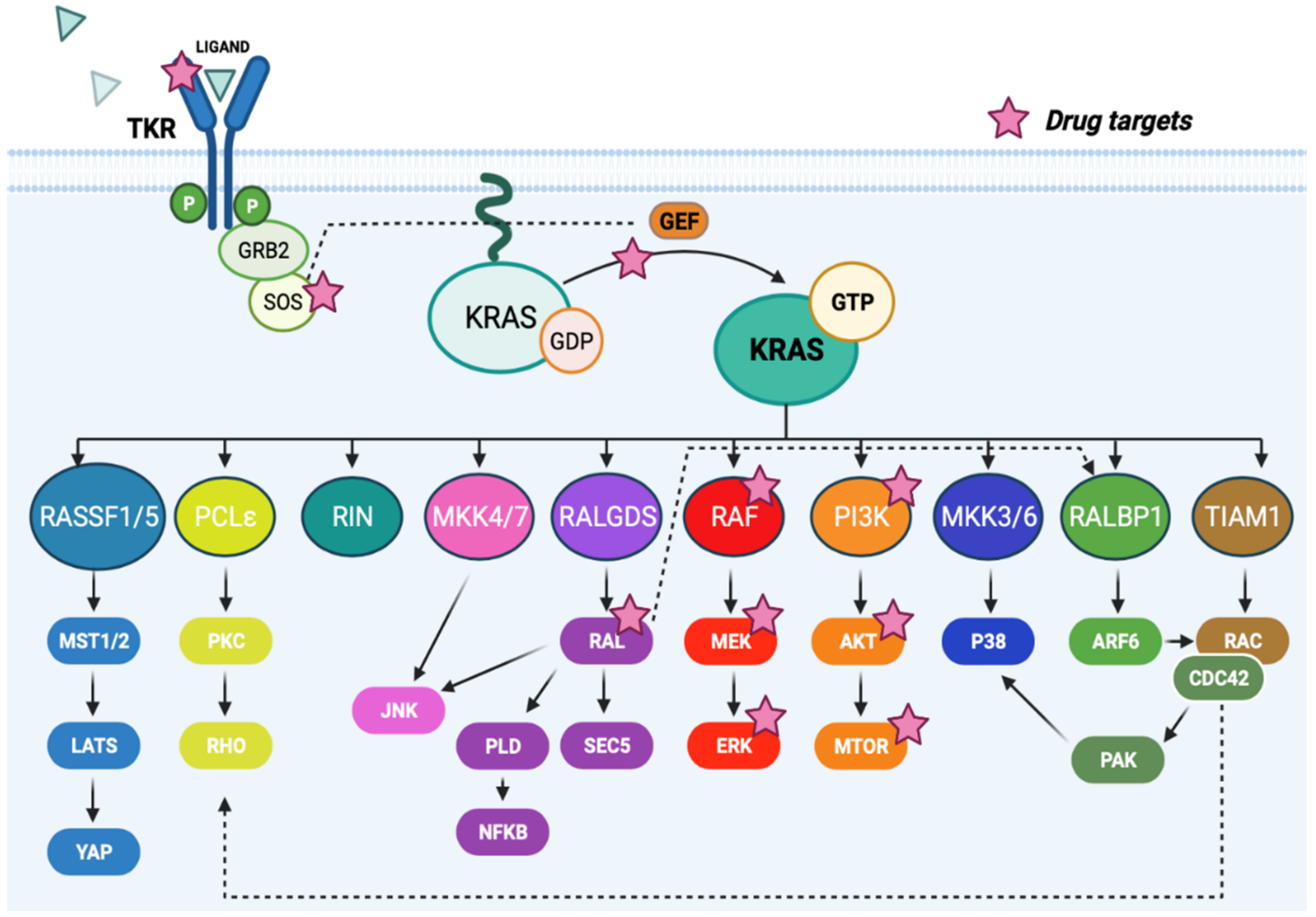 Cancers 14 02837 g001