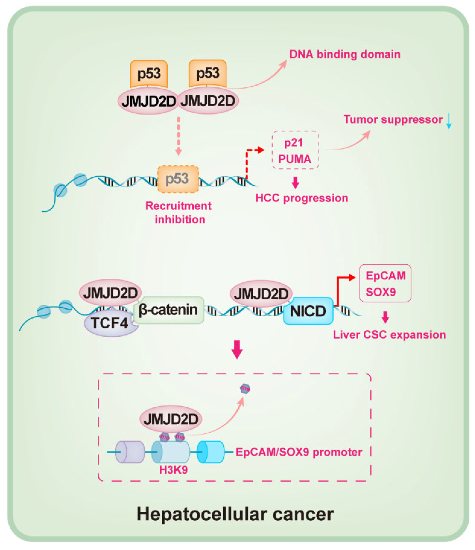 Cancers 14 02841 g004 Cancers 14 02841 g004