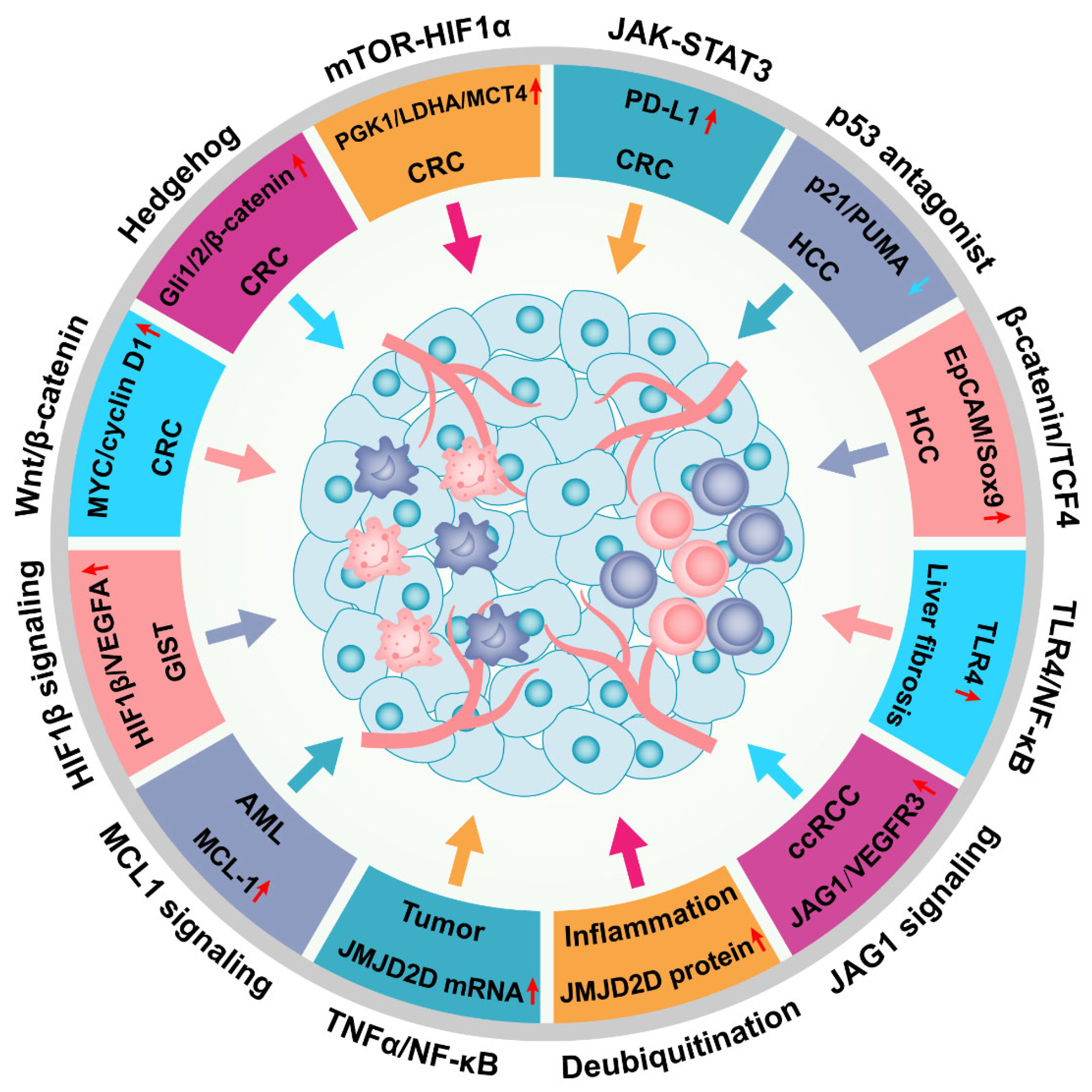 Cancers 14 02841 g005 Cancers 14 02841 g005