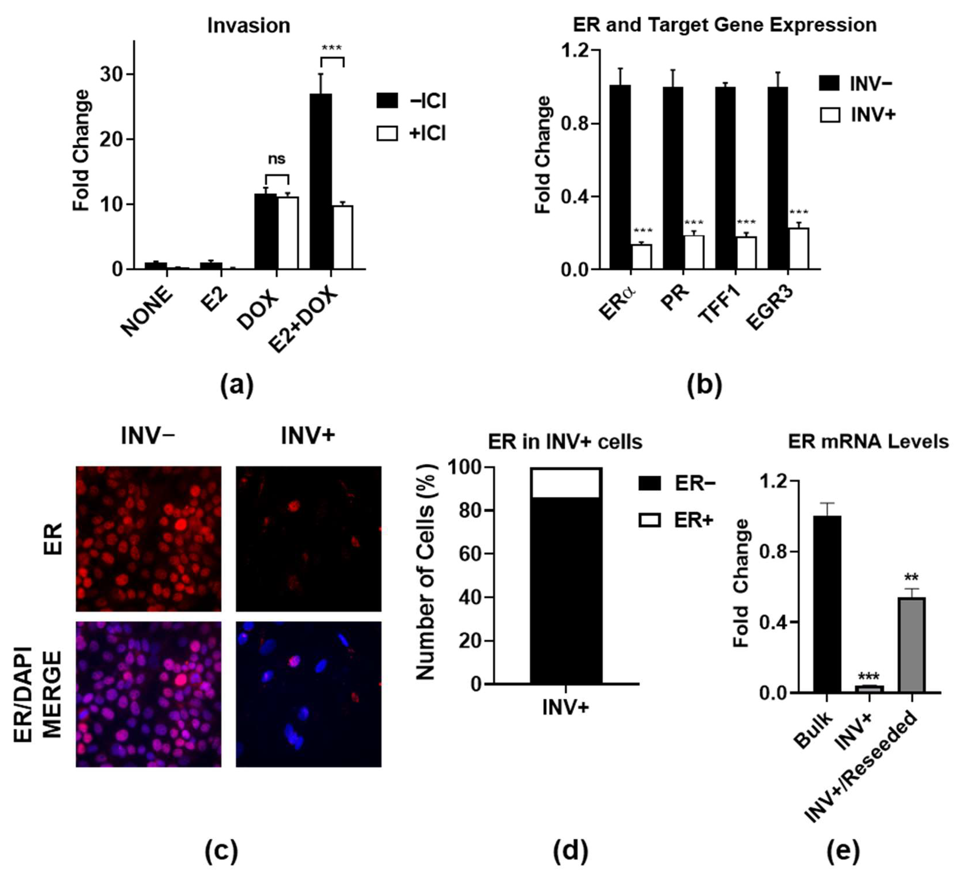 Cancers 14 02848 g001 Cancers 14 02848 g001