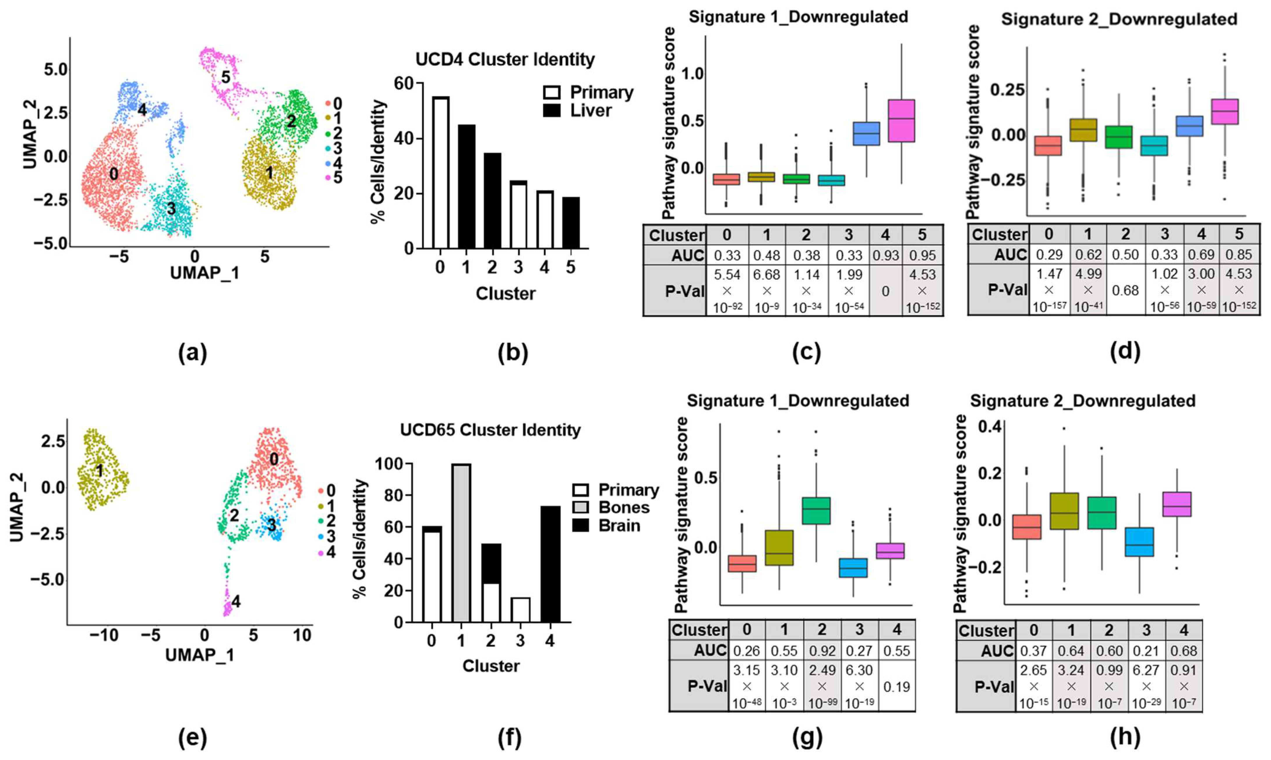 Cancers 14 02848 g005 Cancers 14 02848 g005