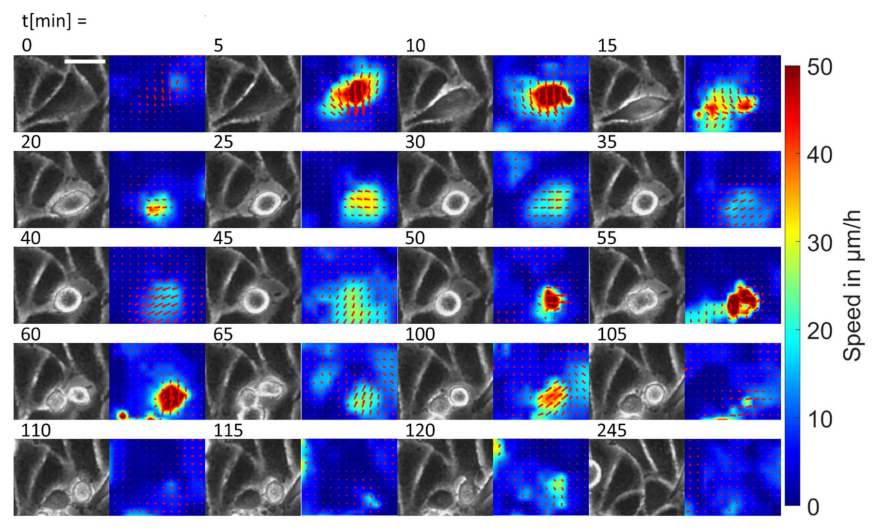 Cancers 14 02857 g004