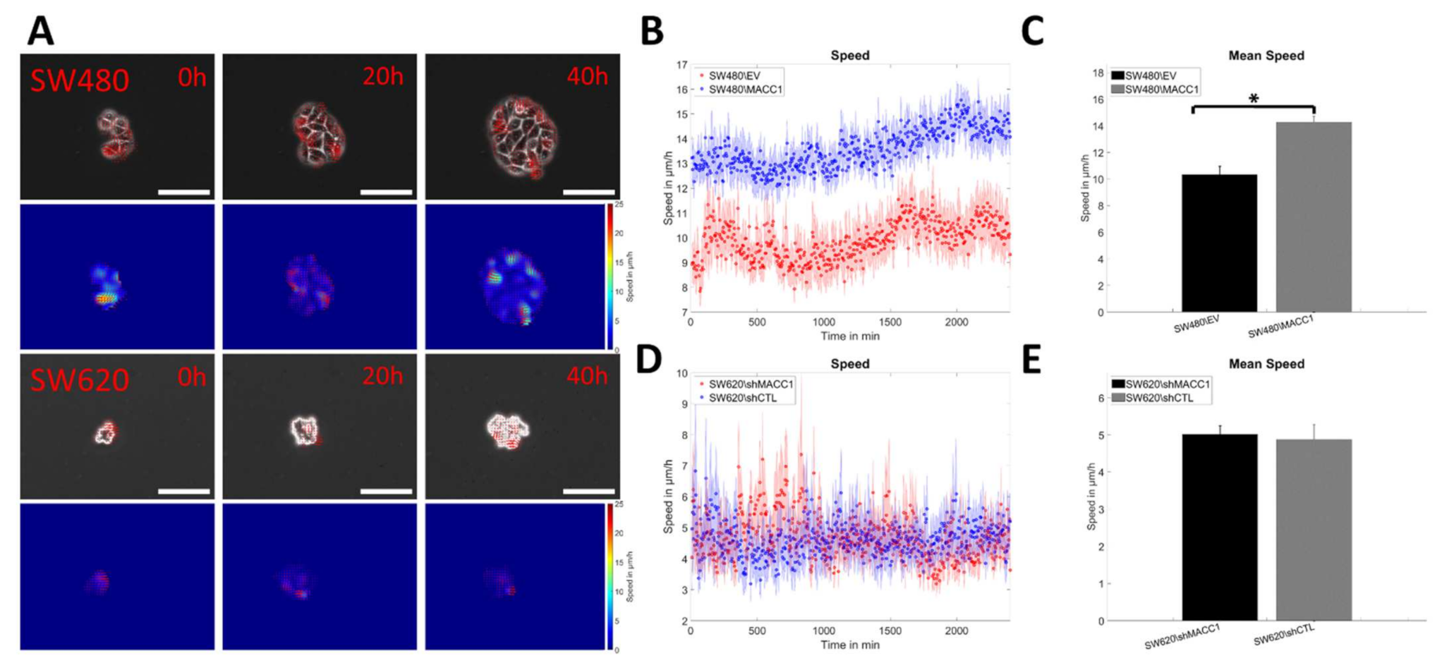 Cancers 14 02857 g005