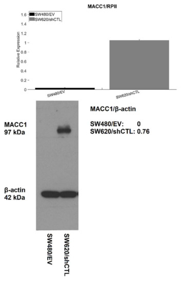 Cancers 14 02857 g0a2