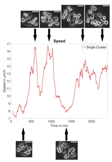 Cancers 14 02857 g0a4