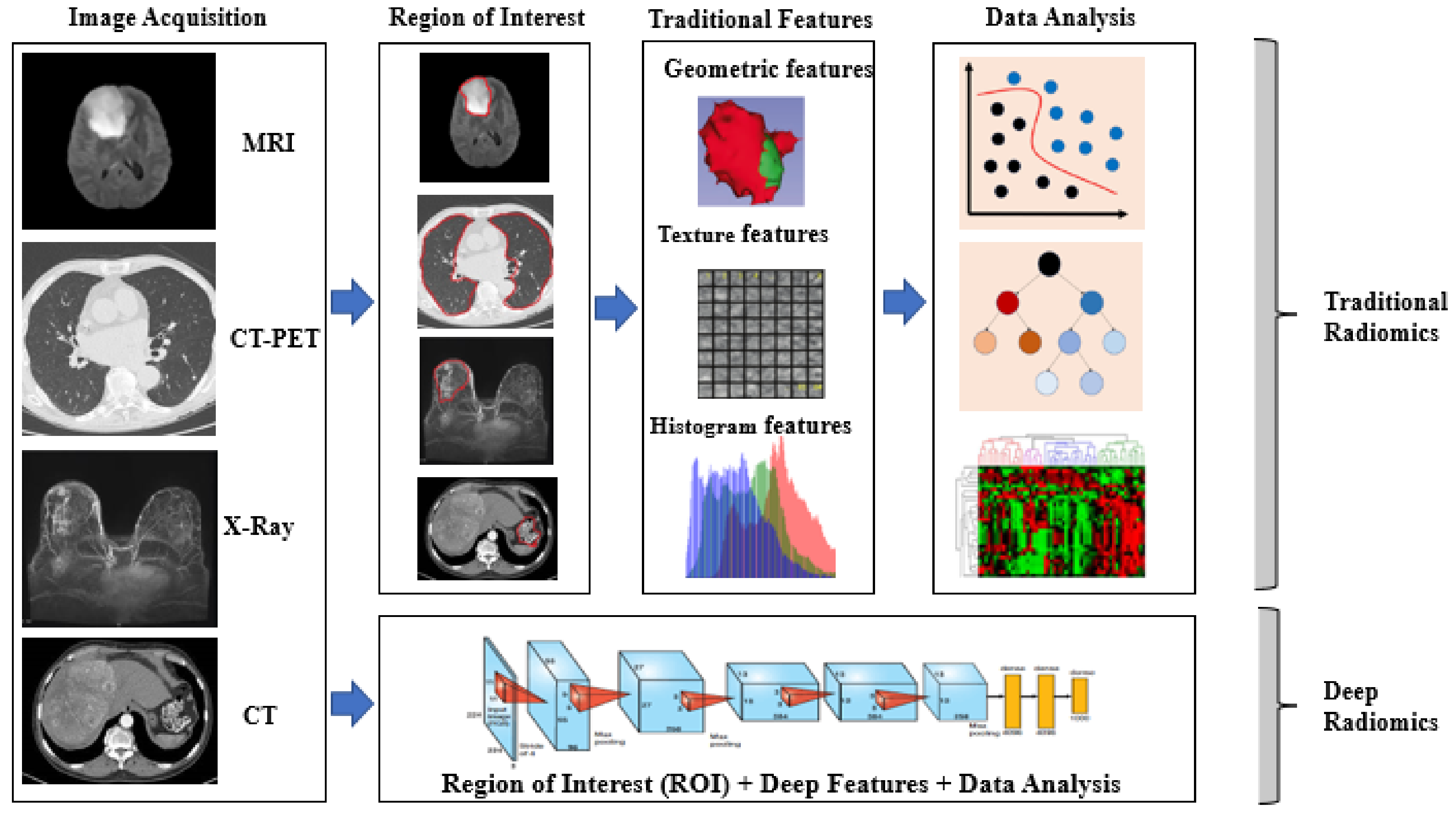 Cancers 14 02860 g007