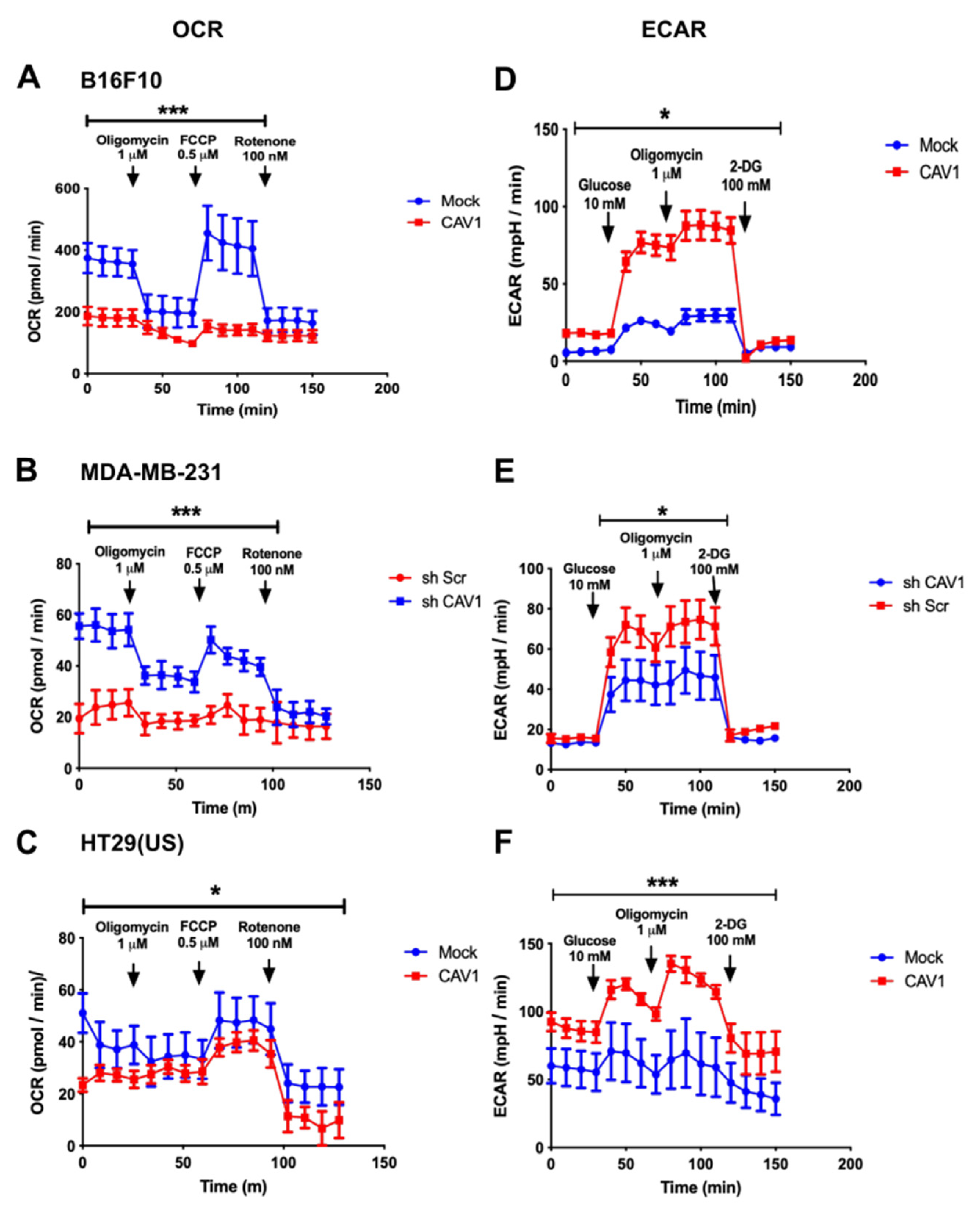 Cancers 14 02862 g001