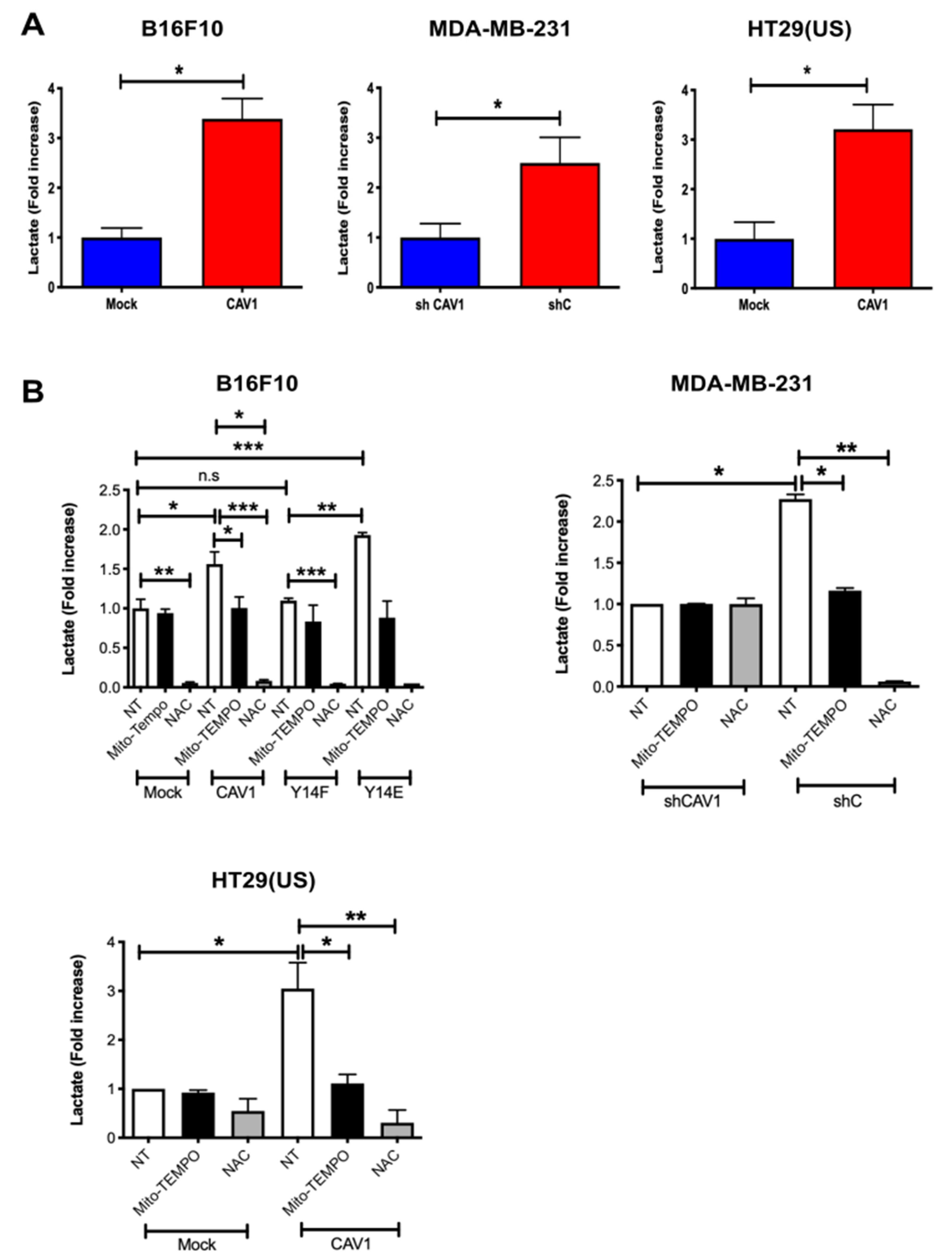 Cancers 14 02862 g005