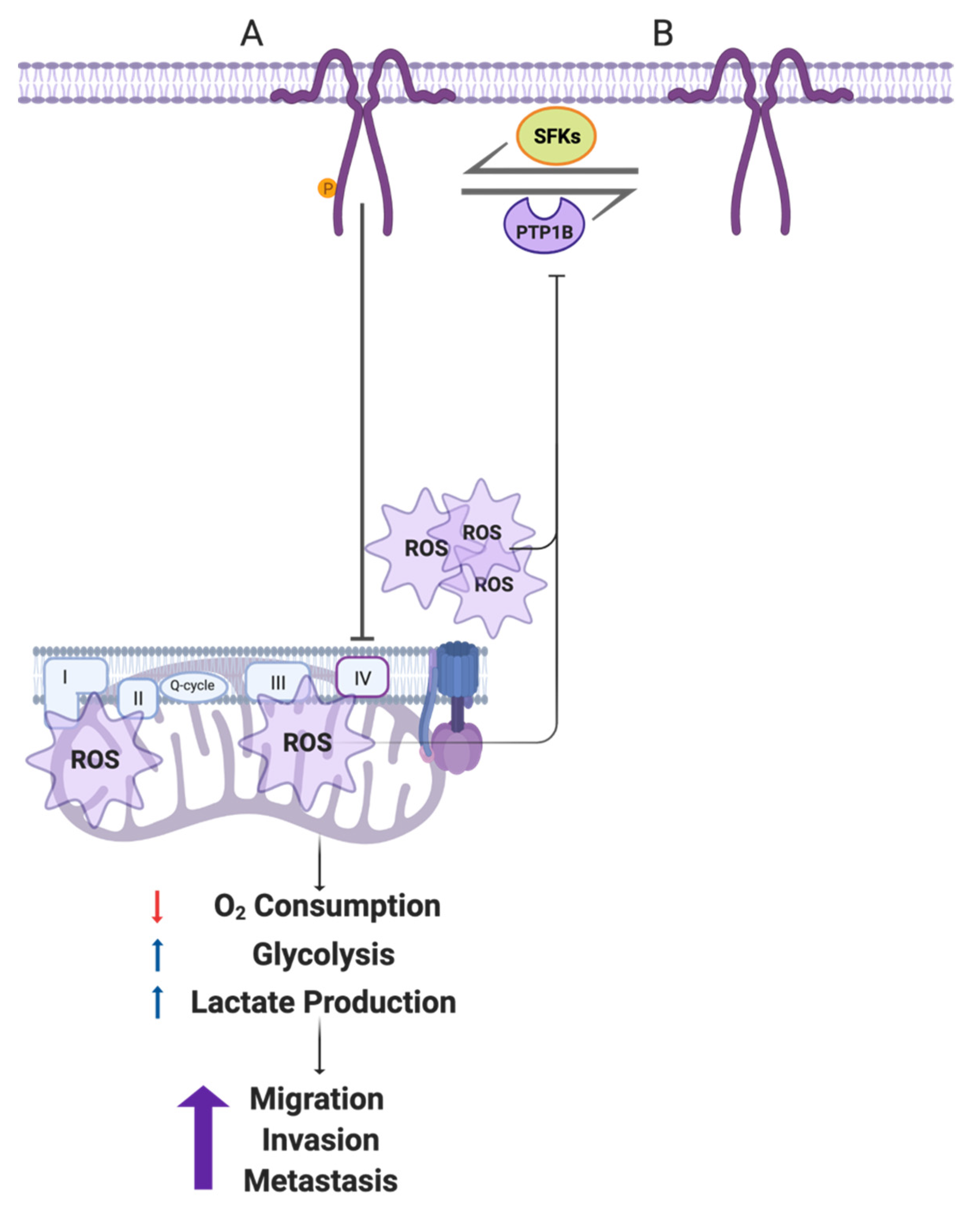 Cancers 14 02862 g008